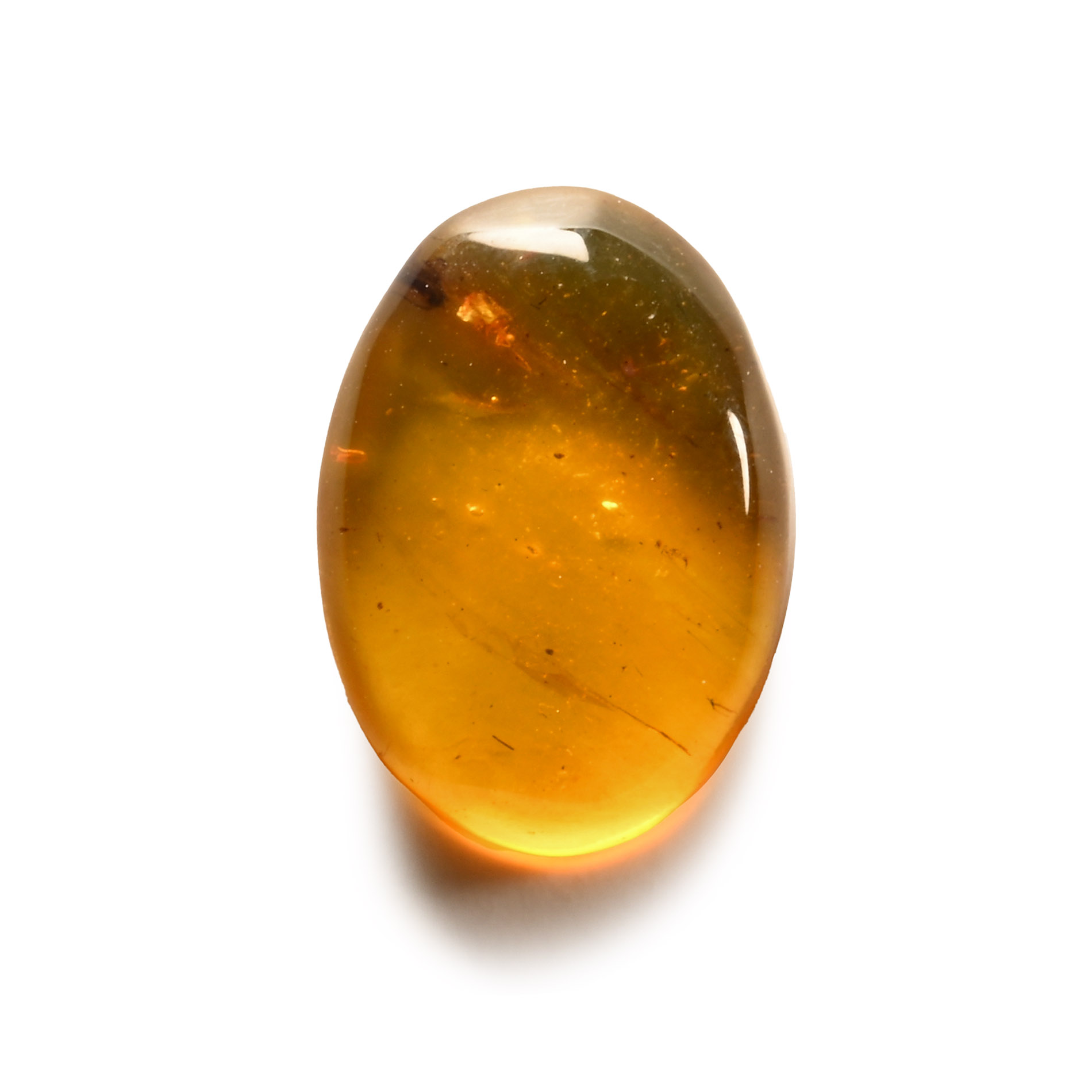 Natural History - Amber with Insect Inclusion