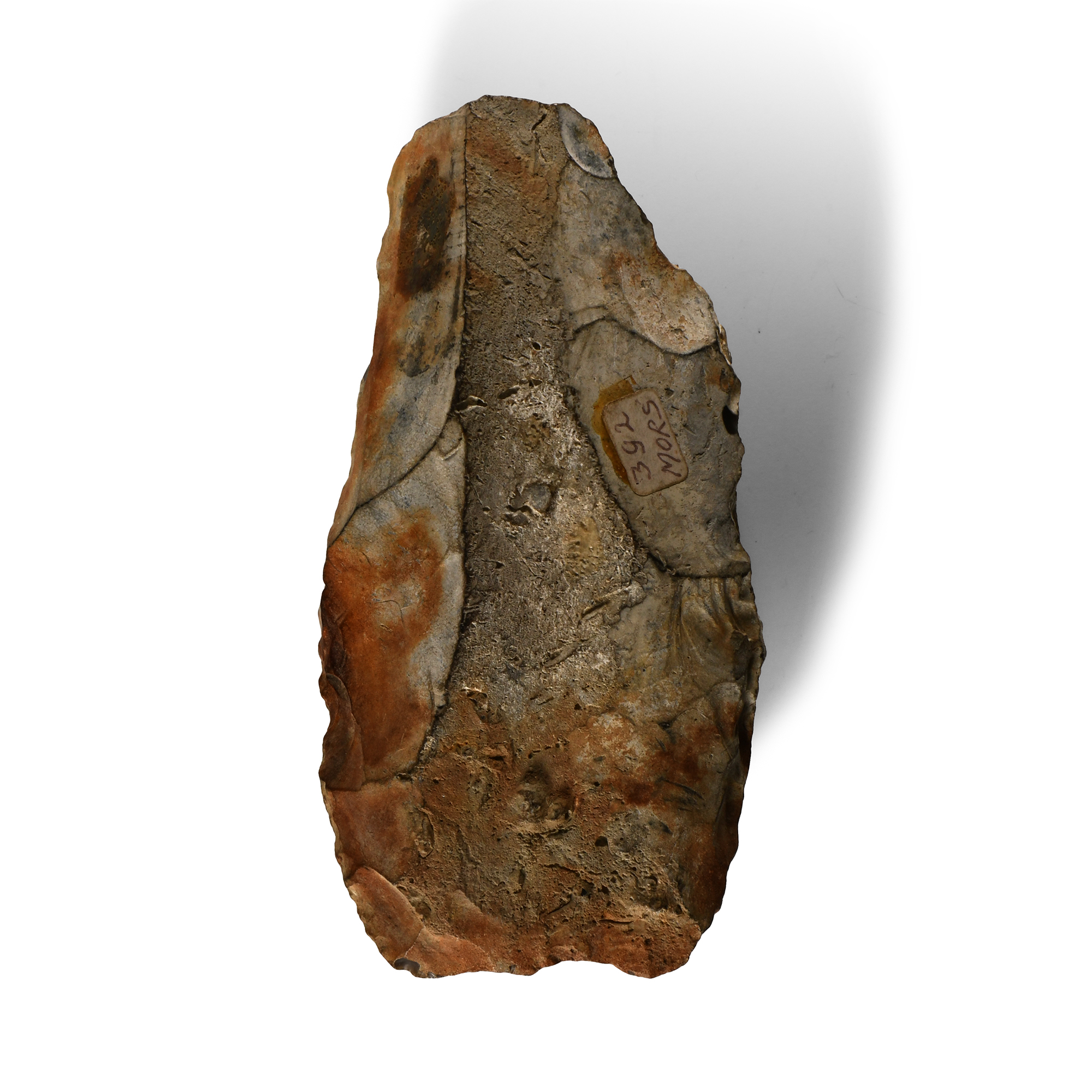 Stone Age Danish Knapped Stone Axehead