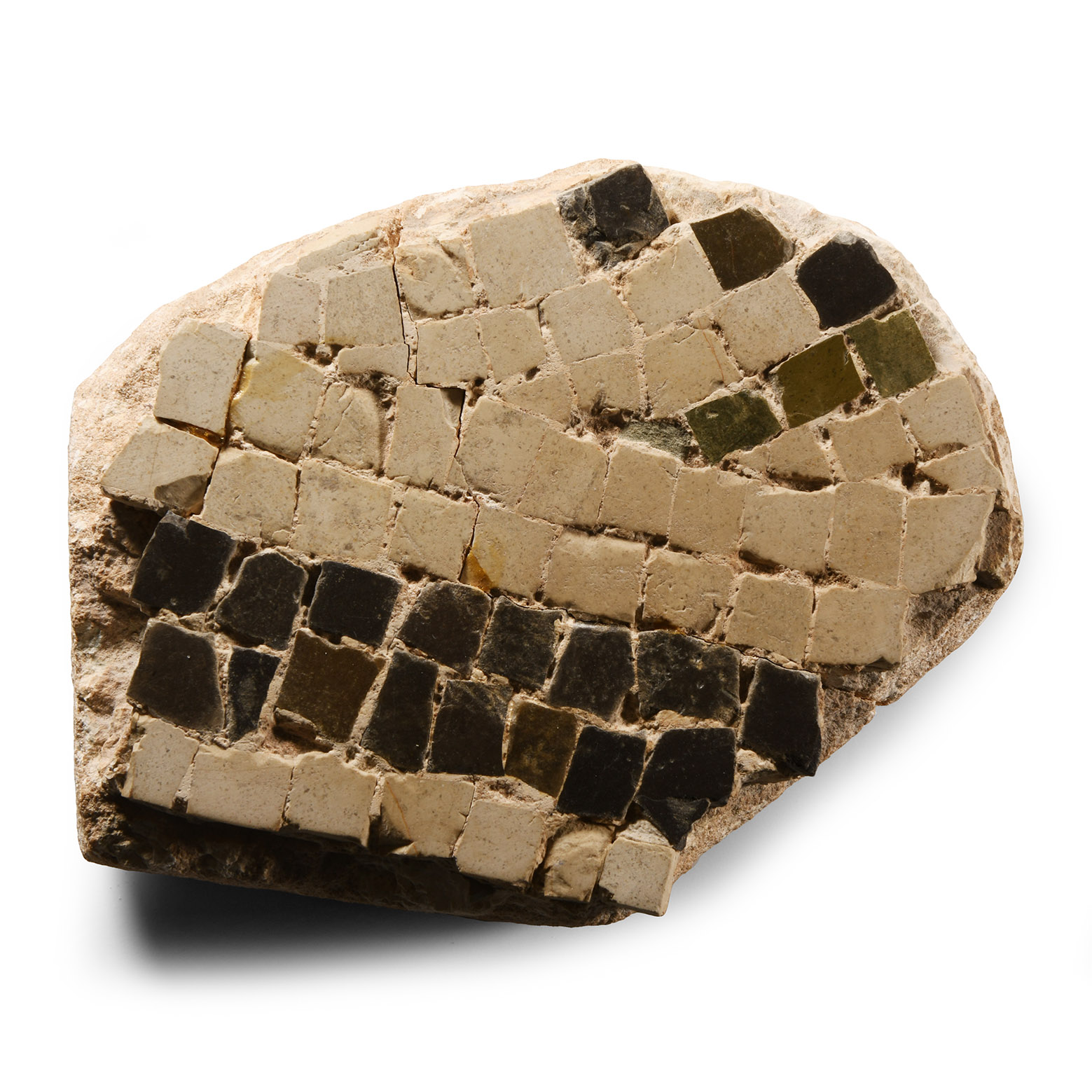 Roman Floor Mosaic Section