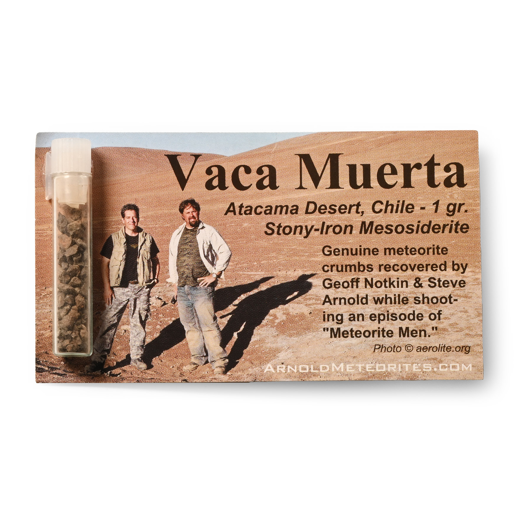 Natural History - Vaca Muerta Meteorite