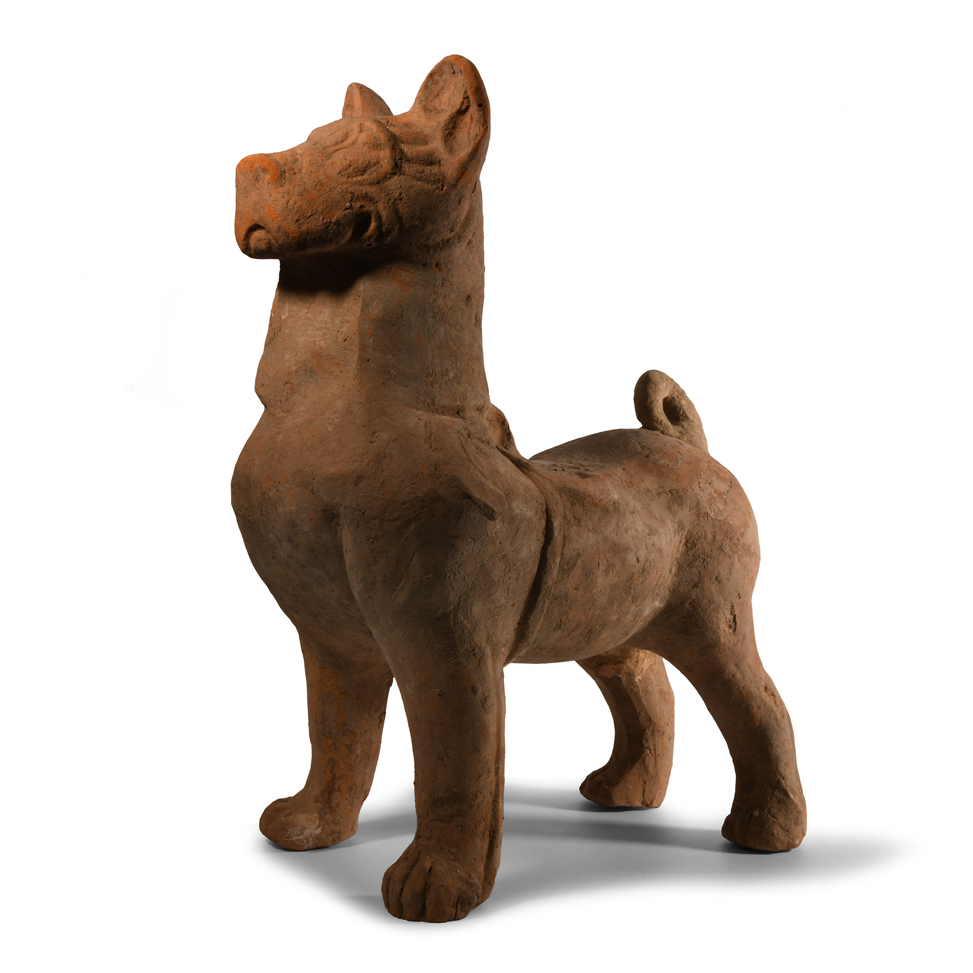 Very Large Chinese Han Terracotta Guardian Dog