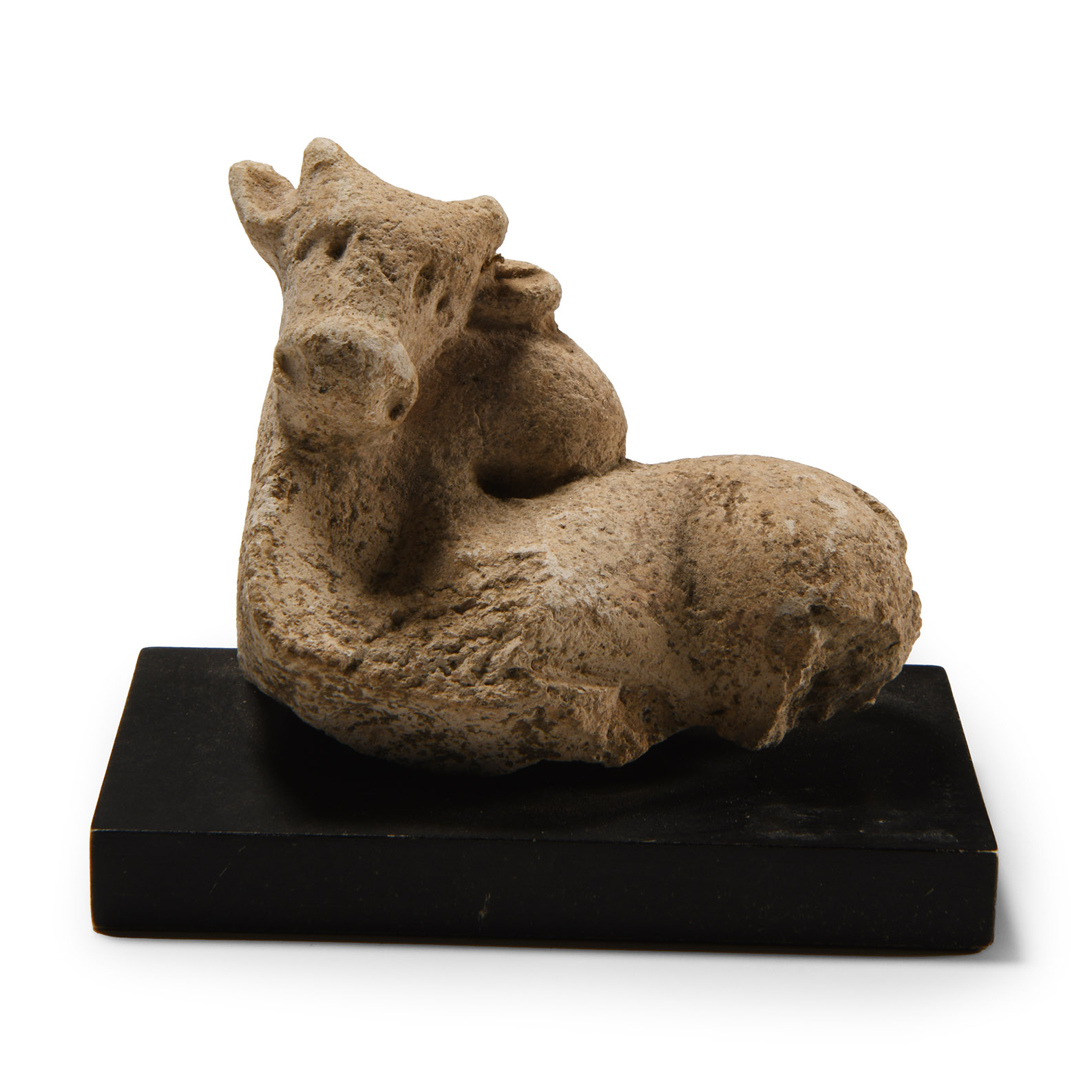 Greek Terracotta Zebu Statuette