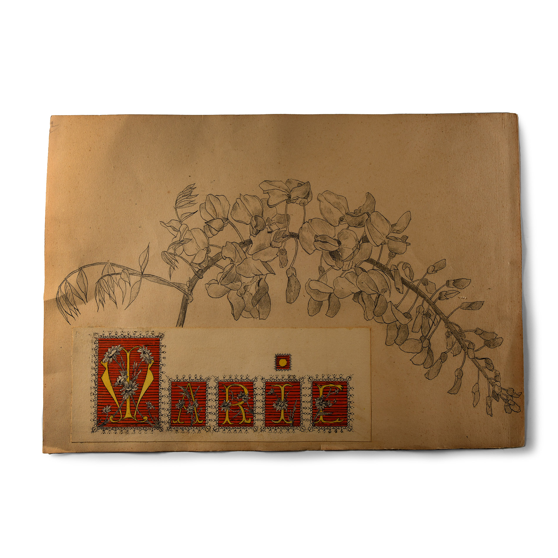 Drawing of Flowers for 'Marie'