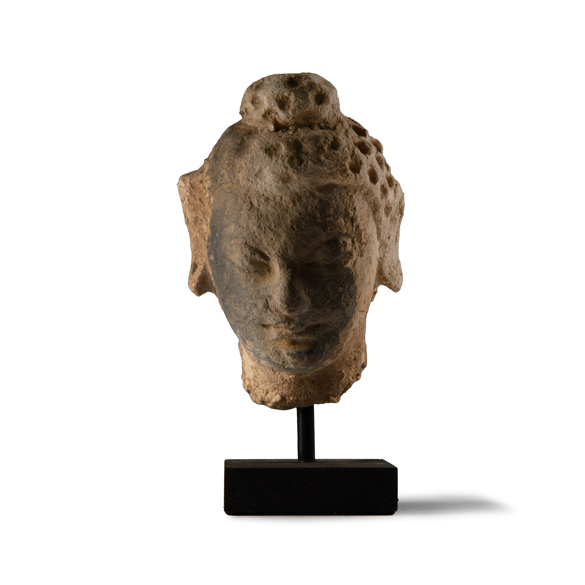 Gandharan Stone and Stucco Head