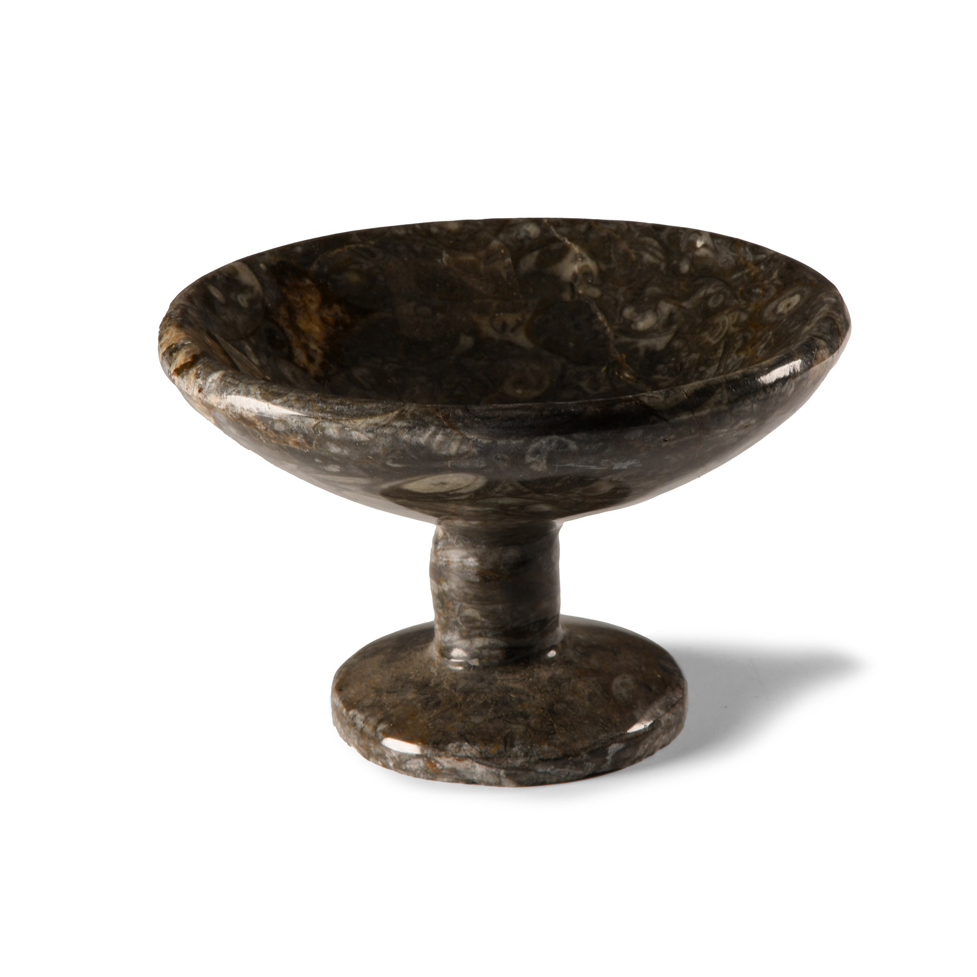 Natural History - Polished Fossil Chalice