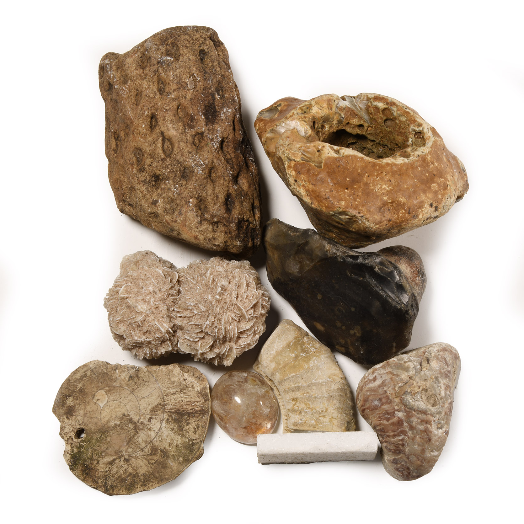 Natural History - Mixed Fossil and Mineral Specimen Group