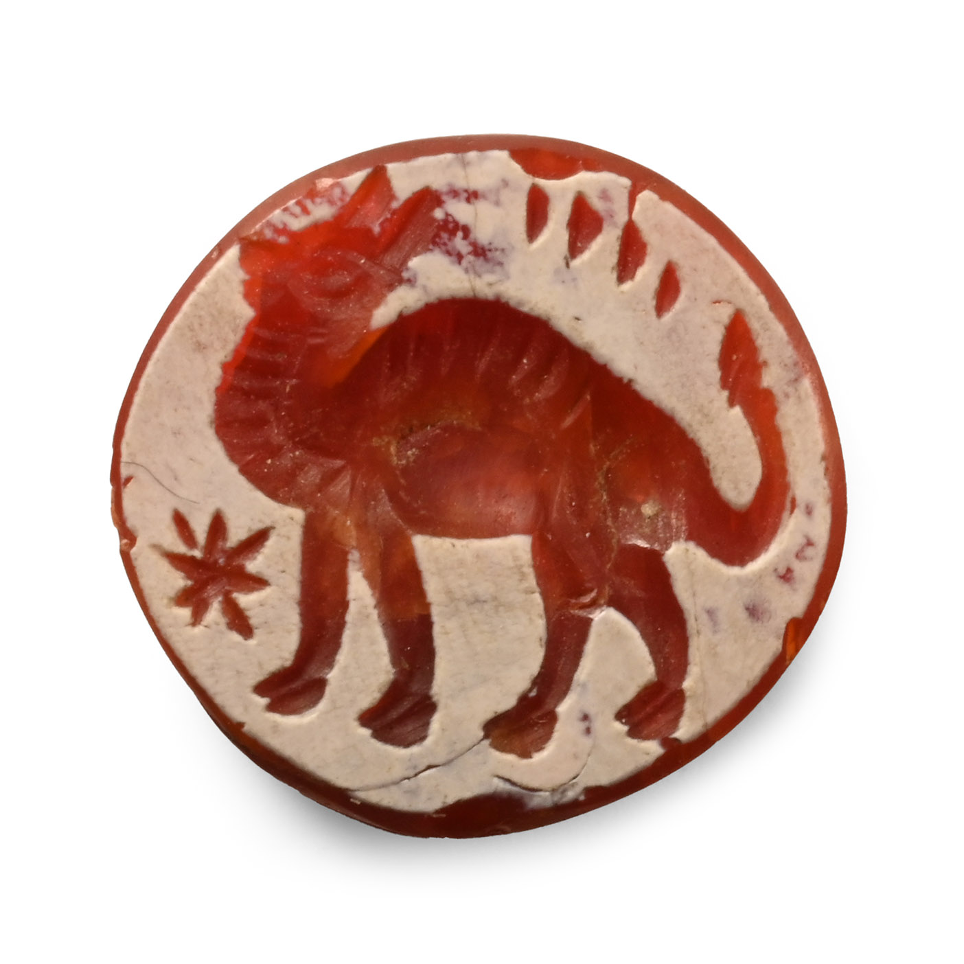 Carnelian Gemstone with Camel