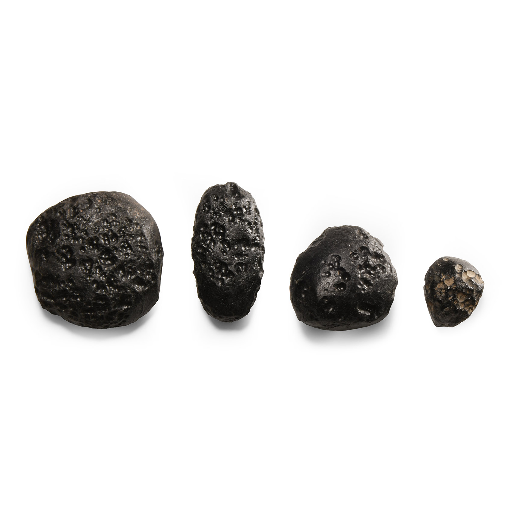 Natural History - Meteorite Crater Tektite Specimen Collection