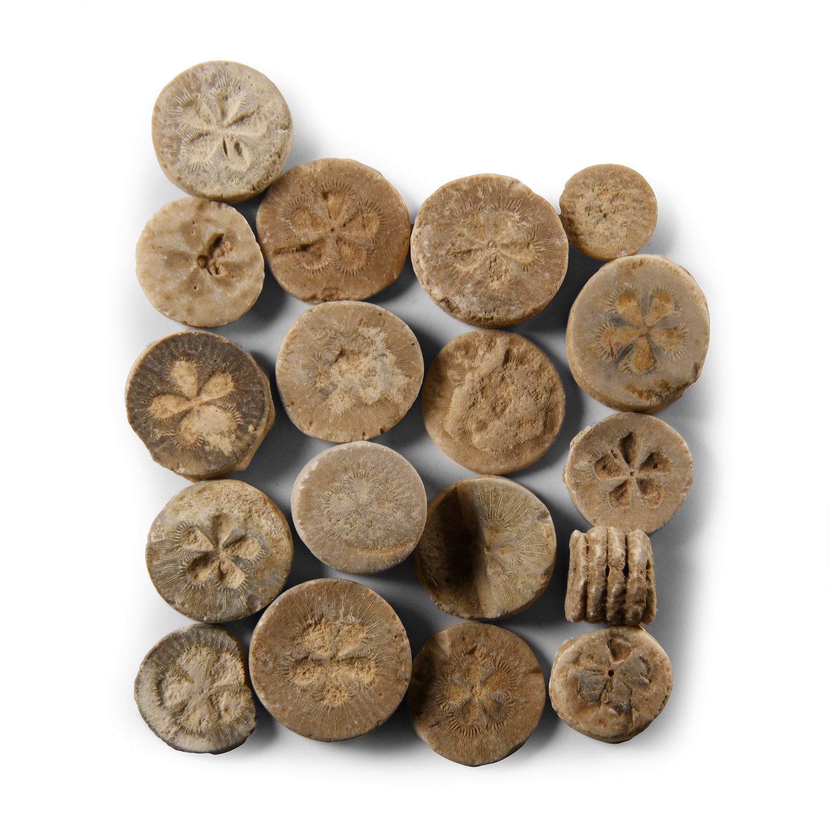 Egyptian Limestone 'Floral' Inlay Group