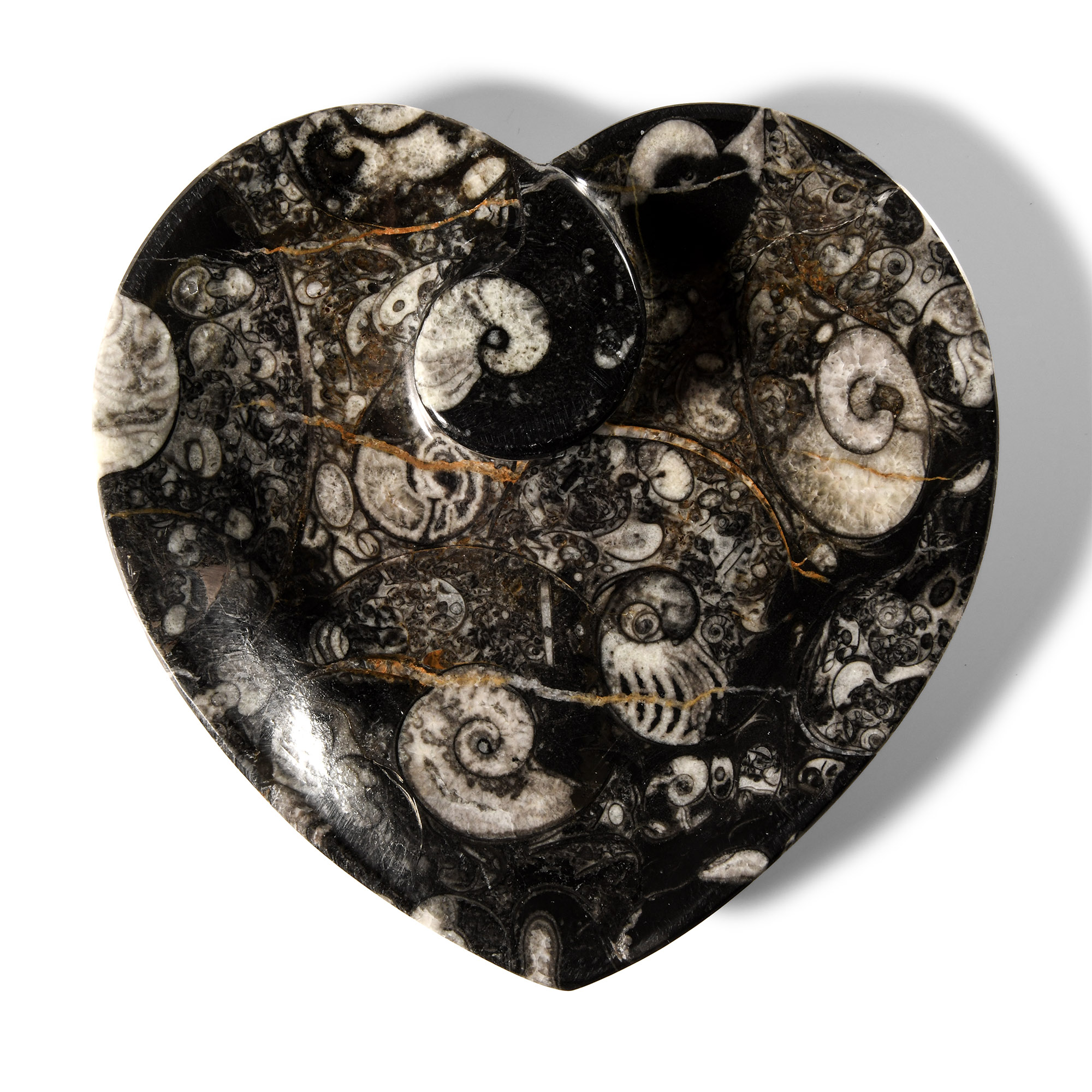 Natural History - Fossil Goniatite Heart-Shaped Trinket Tray