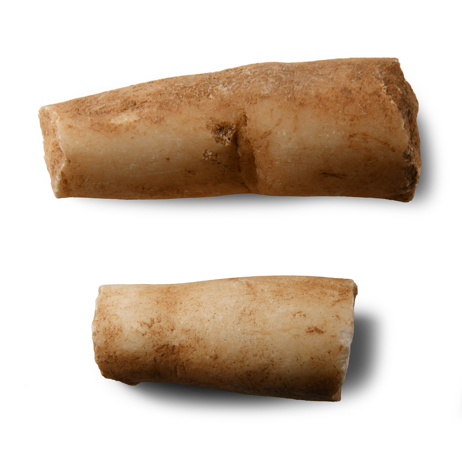 Life-Size Roman Marble Finger Fragments