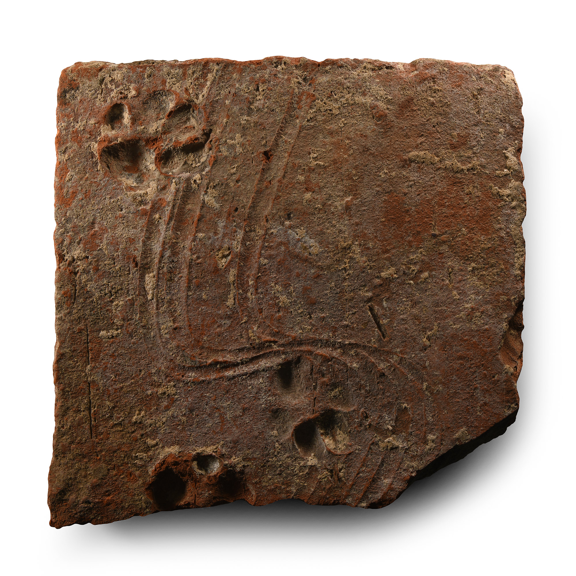 Romano-British 'Lympne Castle Roman Fort' Terracotta Tile with Roman Dog Pawprints