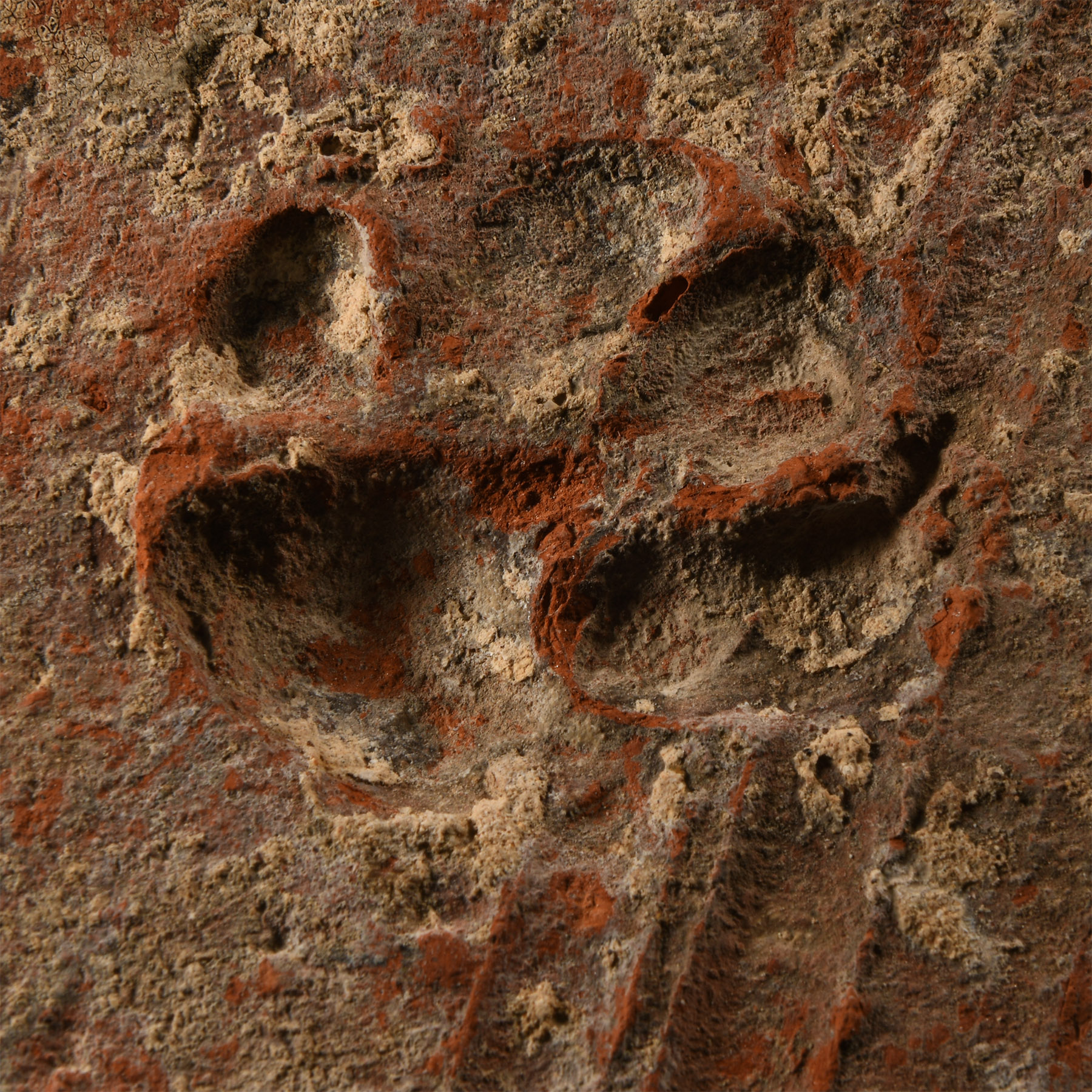 Romano-British 'Lympne Castle Roman Fort' Terracotta Tile with Roman Dog Pawprints
