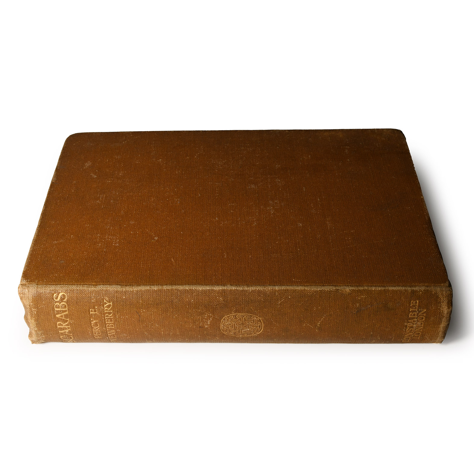 Archaeological Books - Scarabs An Introduction to the Study of Egyptian Seal and Signet Rings