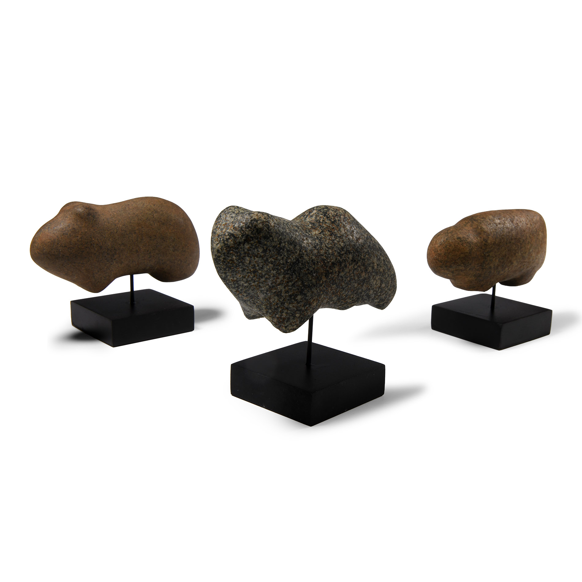 Stone Age Animal Idol Group