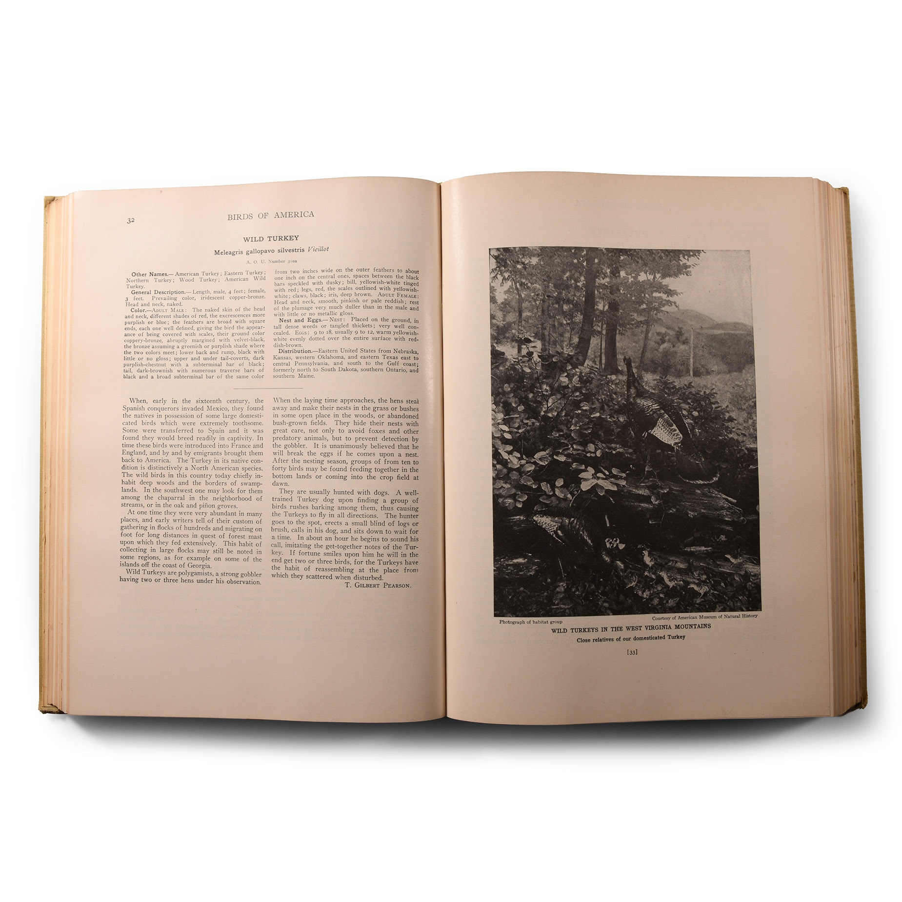 General Books - Birds of America