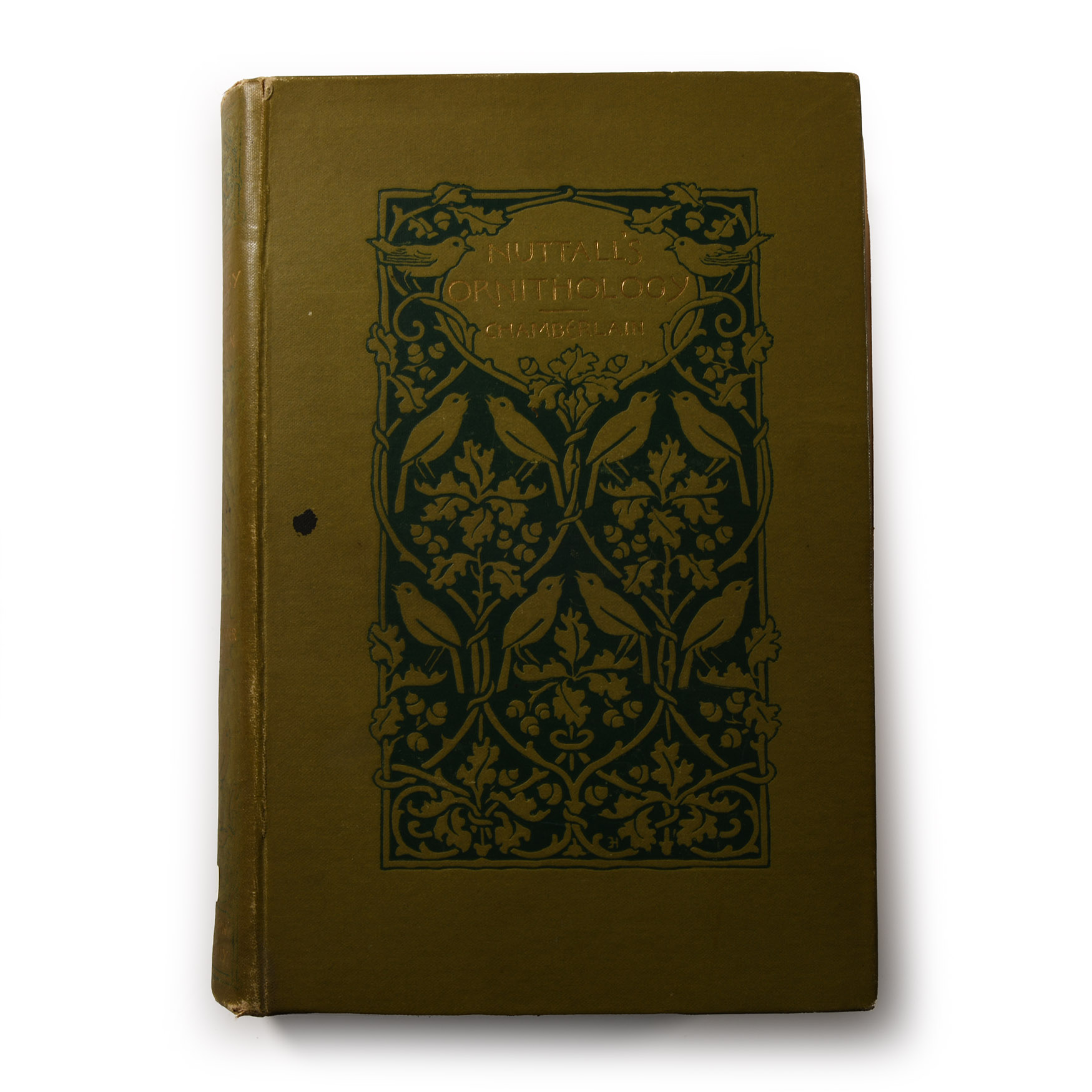 A Popular Handbook of the Ornithology of Eastern North America
