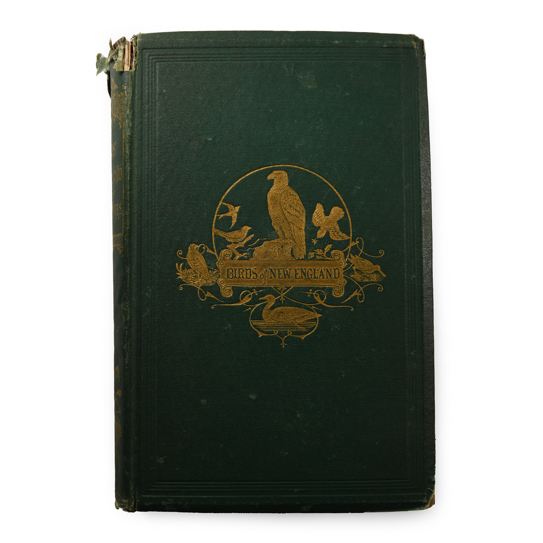General Books - Birds of New England