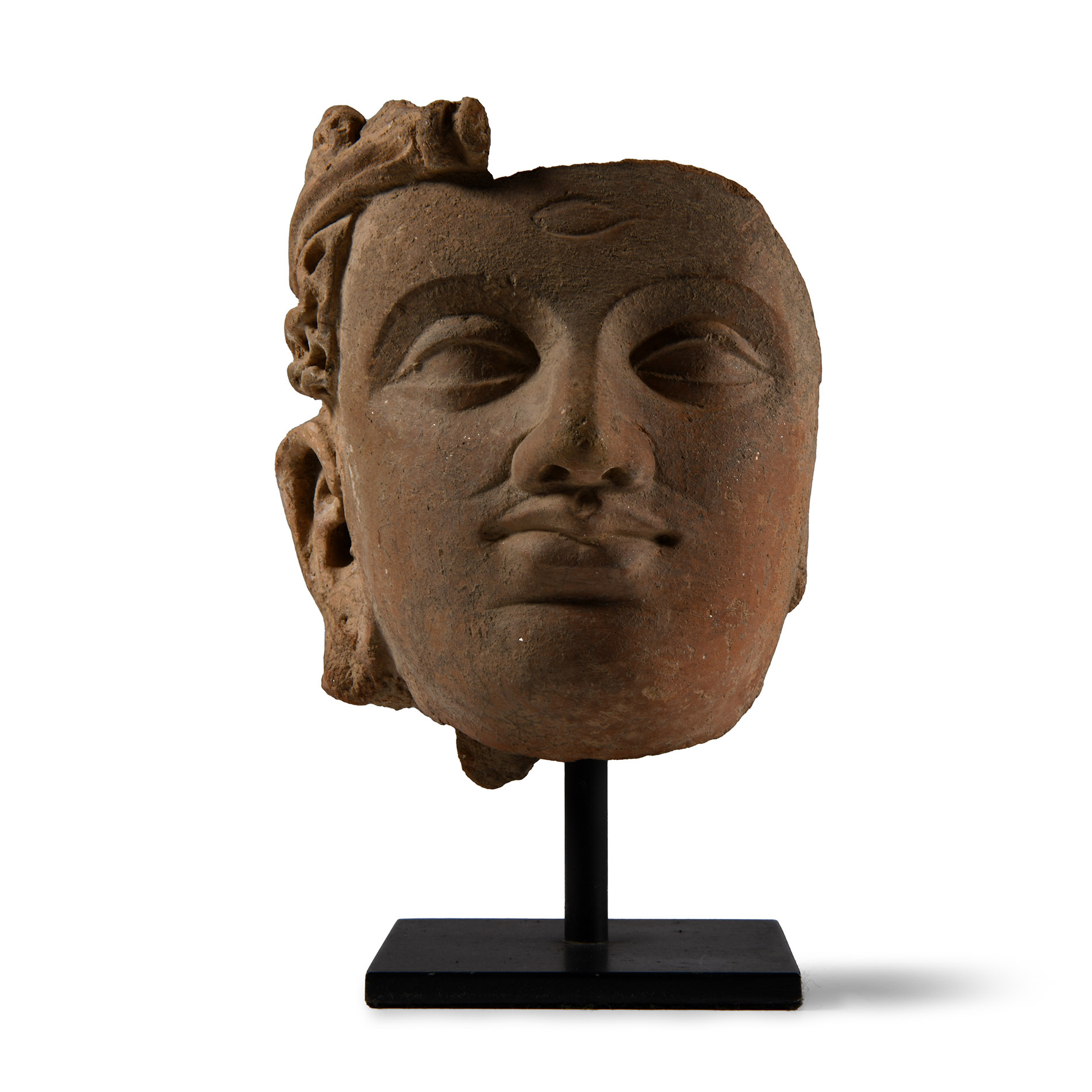 Gandharan Terracotta Head