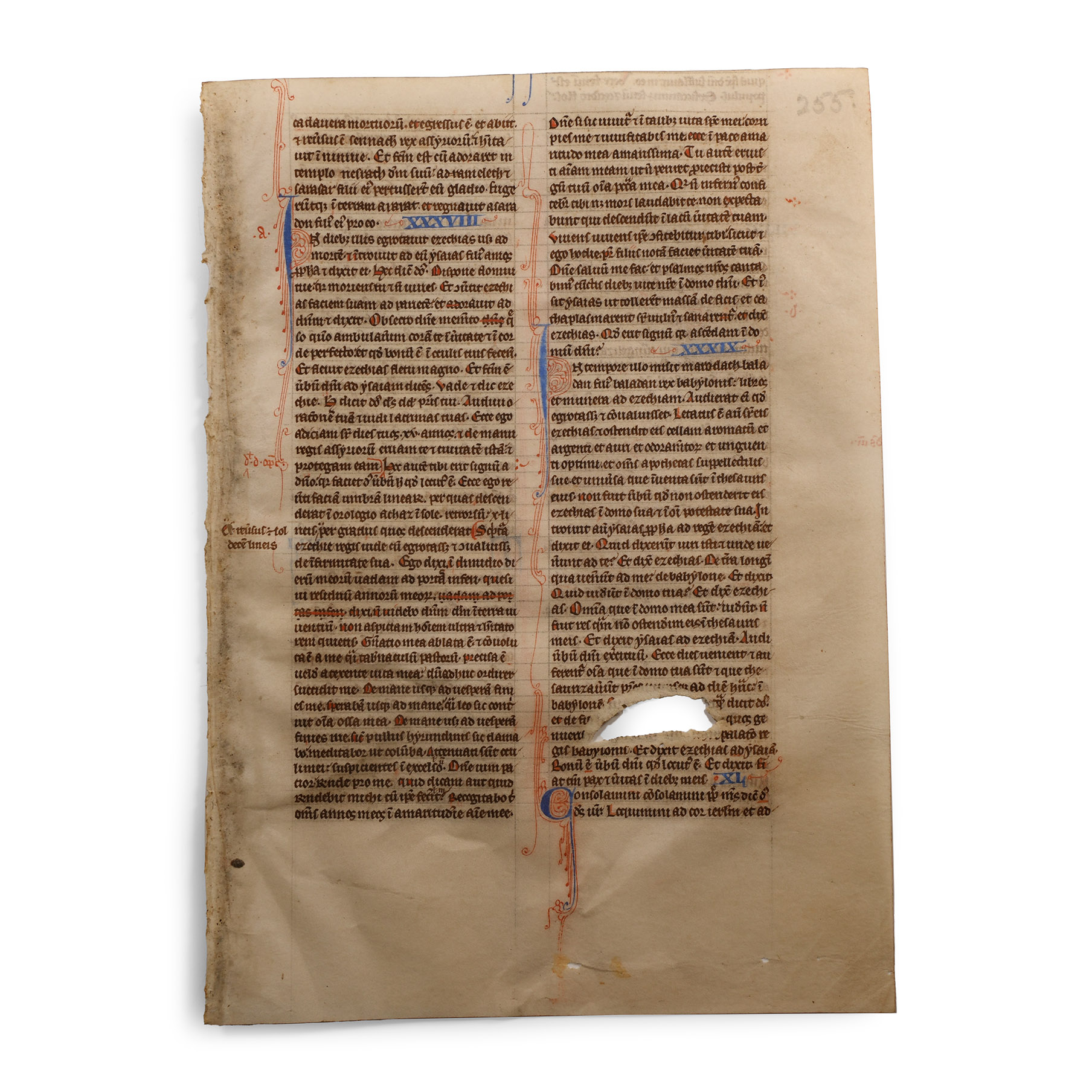 Medieval English Vellum Bible Manuscript Page