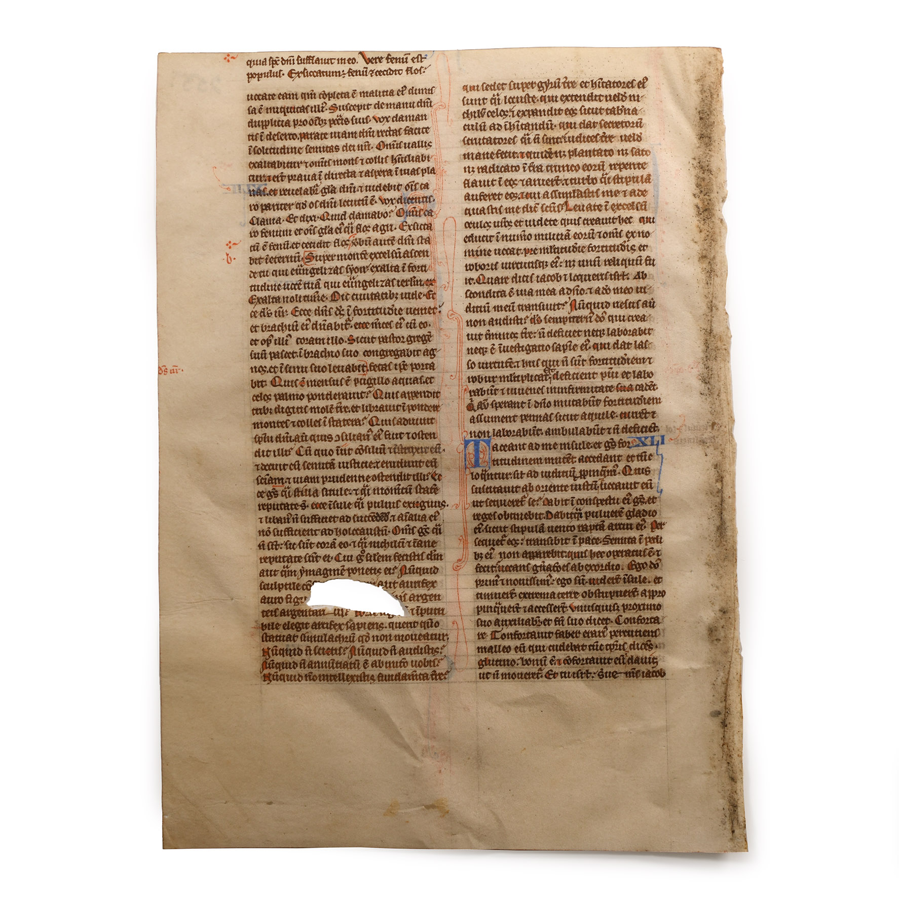 Medieval English Vellum Bible Manuscript Page