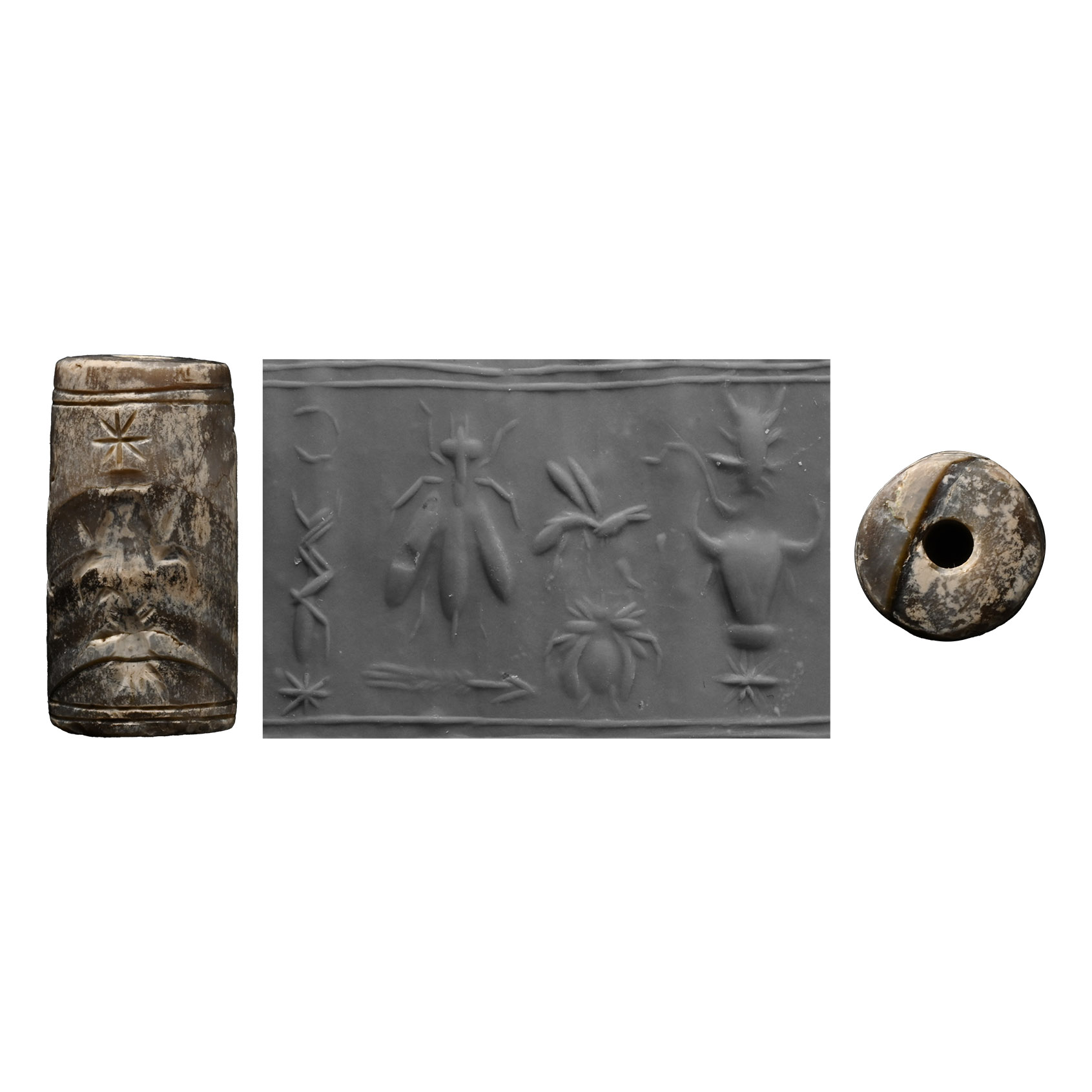 Mesopotamian Agate Cylinder Seal with Bull's Head