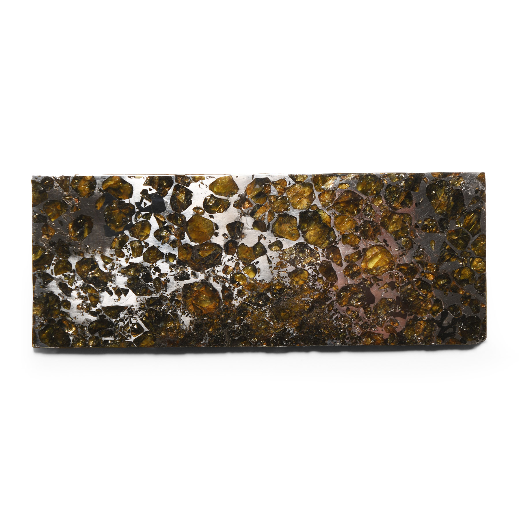 Natural History - Polished Seymchan Meteorite Slab
