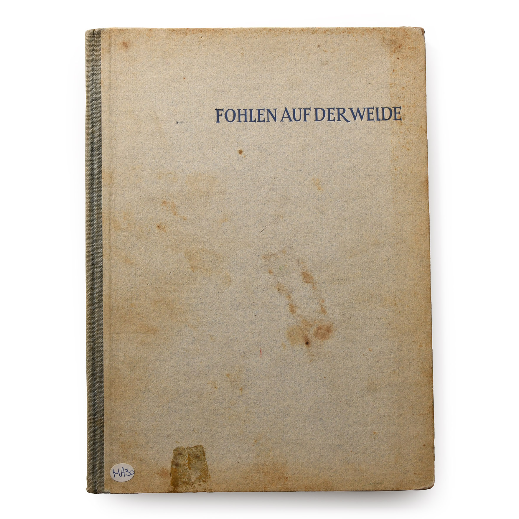 General Books - Fohlen Auf der Weide