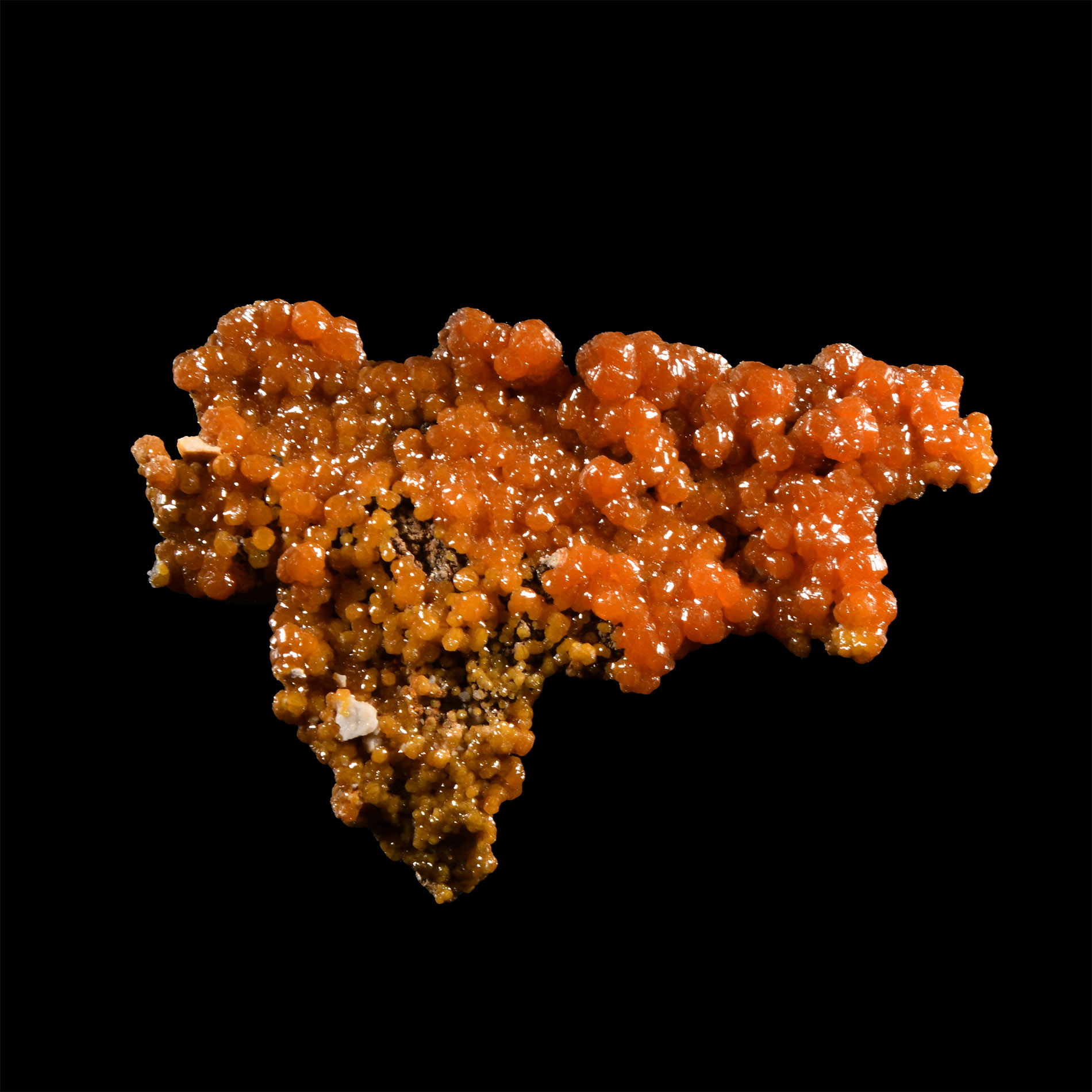 Natural History - Historic 'Bunker Hill Mine, Idaho' Pyromorphite Mineral Specimen
