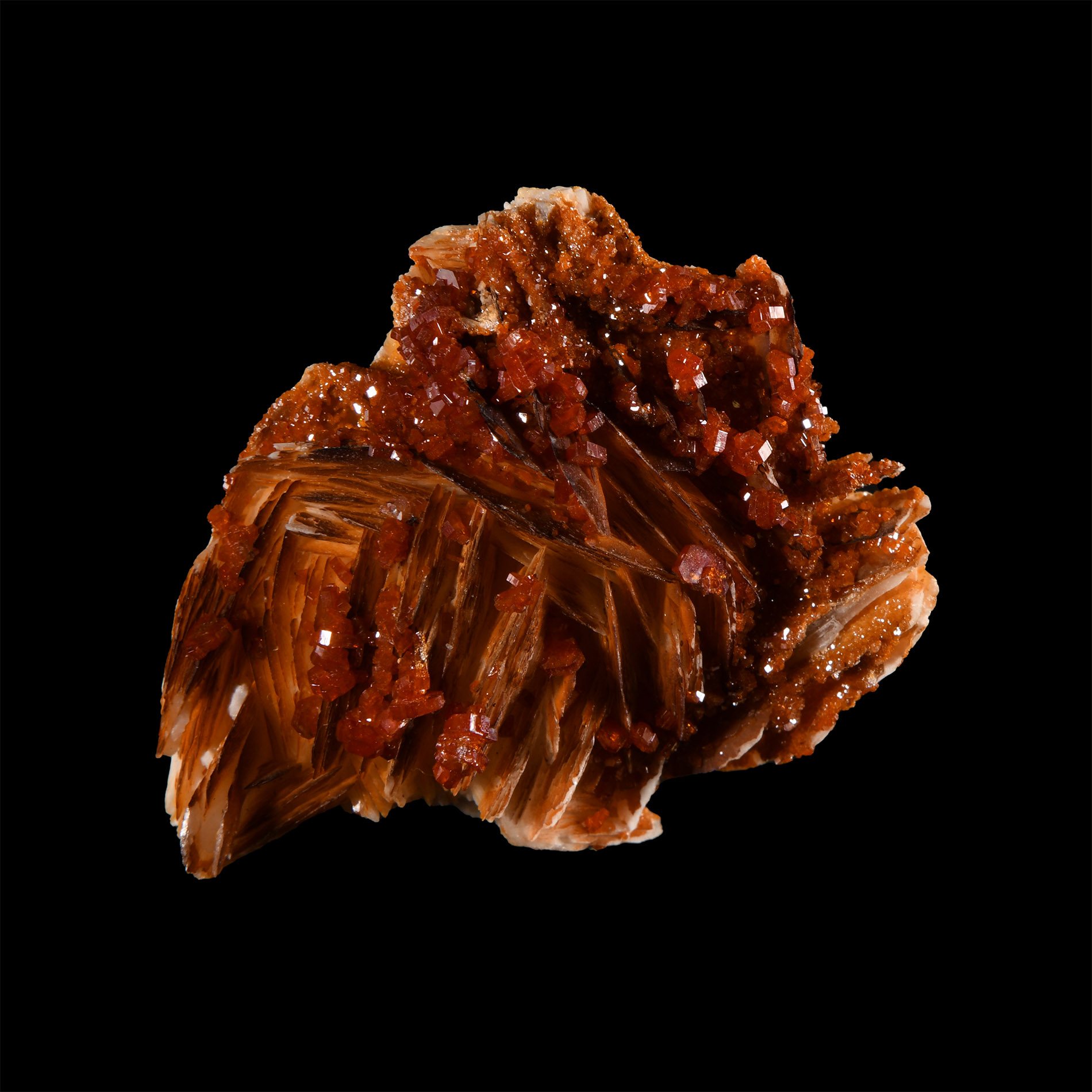 Natural History - Historic 'Taouz, Morocco' Vanadinite on Barite Mineral Specimen