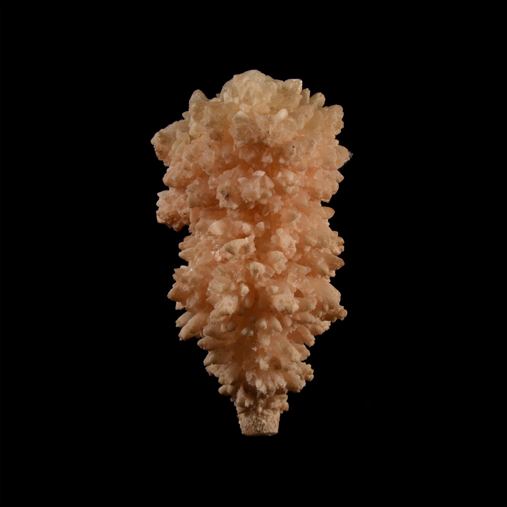 Natural History - Historic 'Austria' Flos-Ferri Mineral Specimen