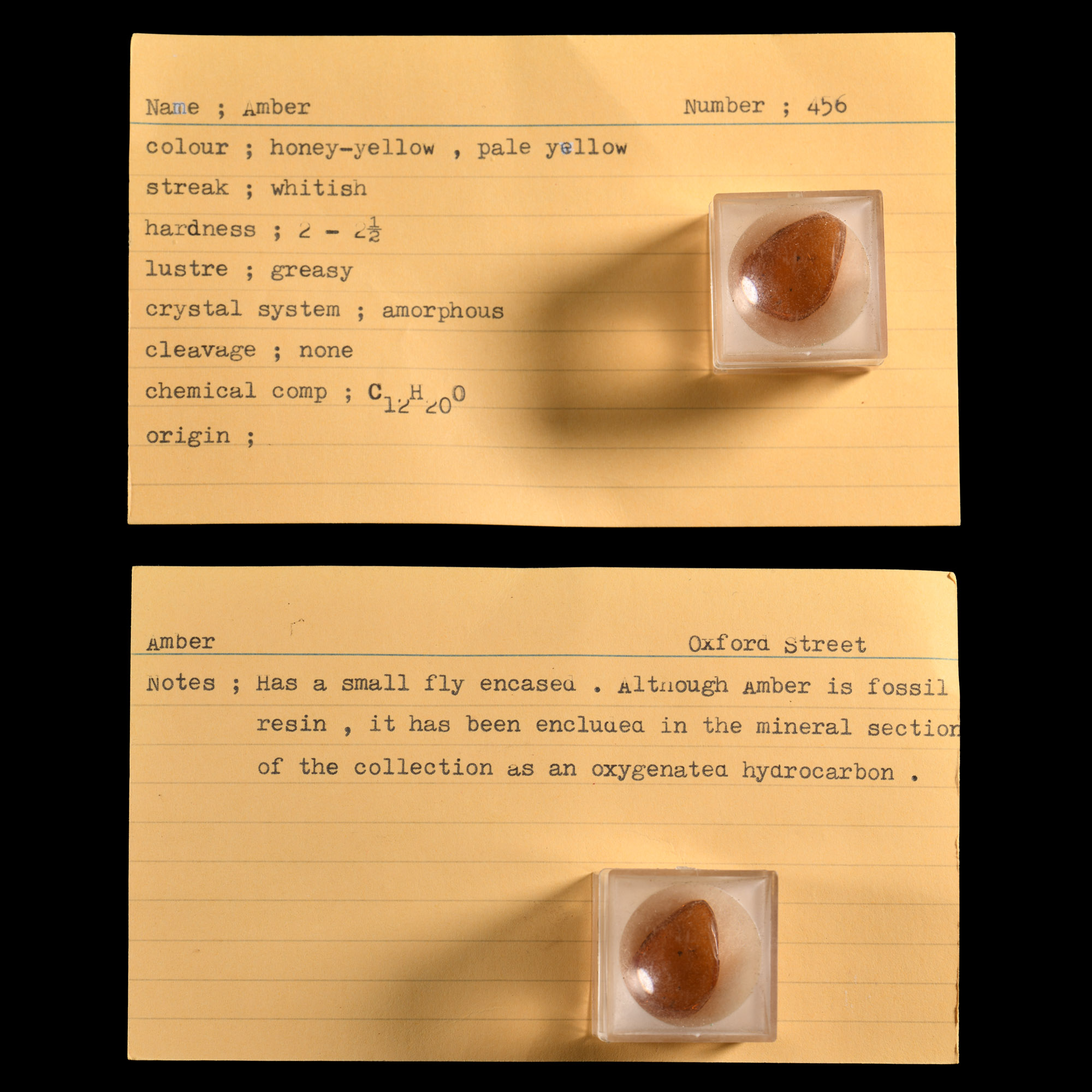 Natural History - Historic Amber Specimen with Fly