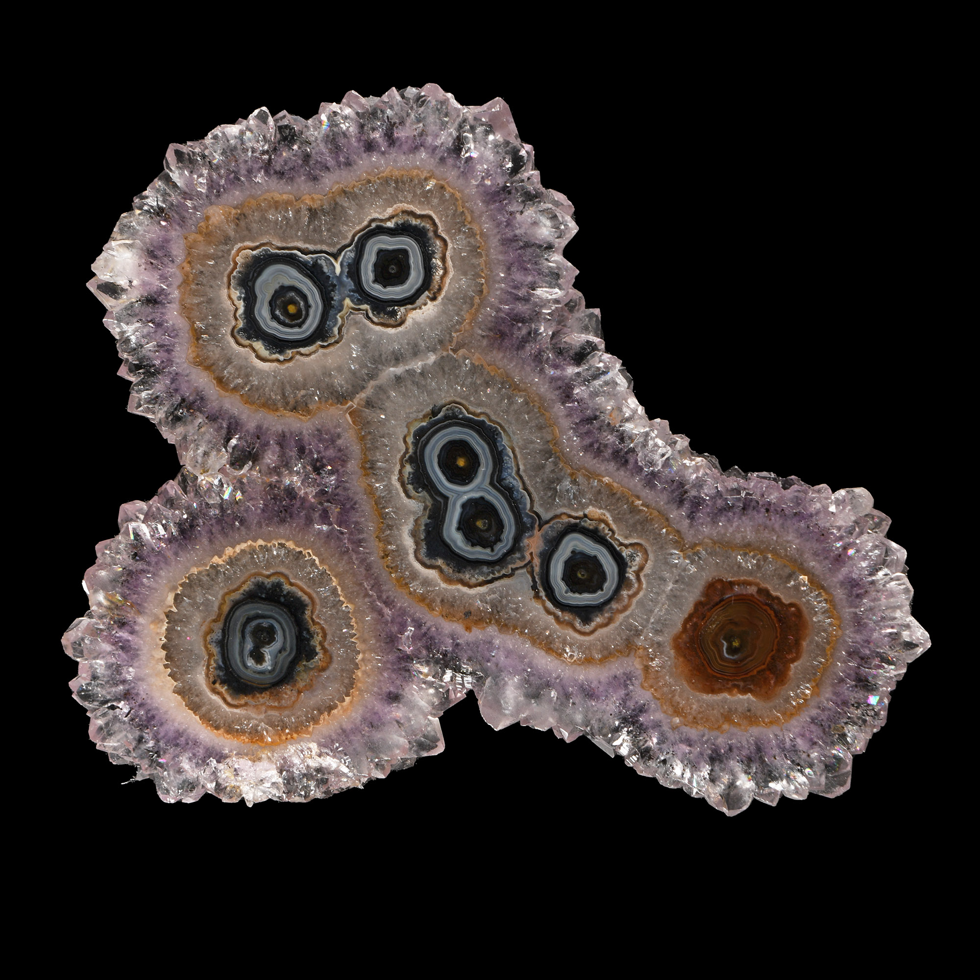 Natural History - Historic 'Owl on a Motorbike' Agate in Amethyst Crystal Specimen