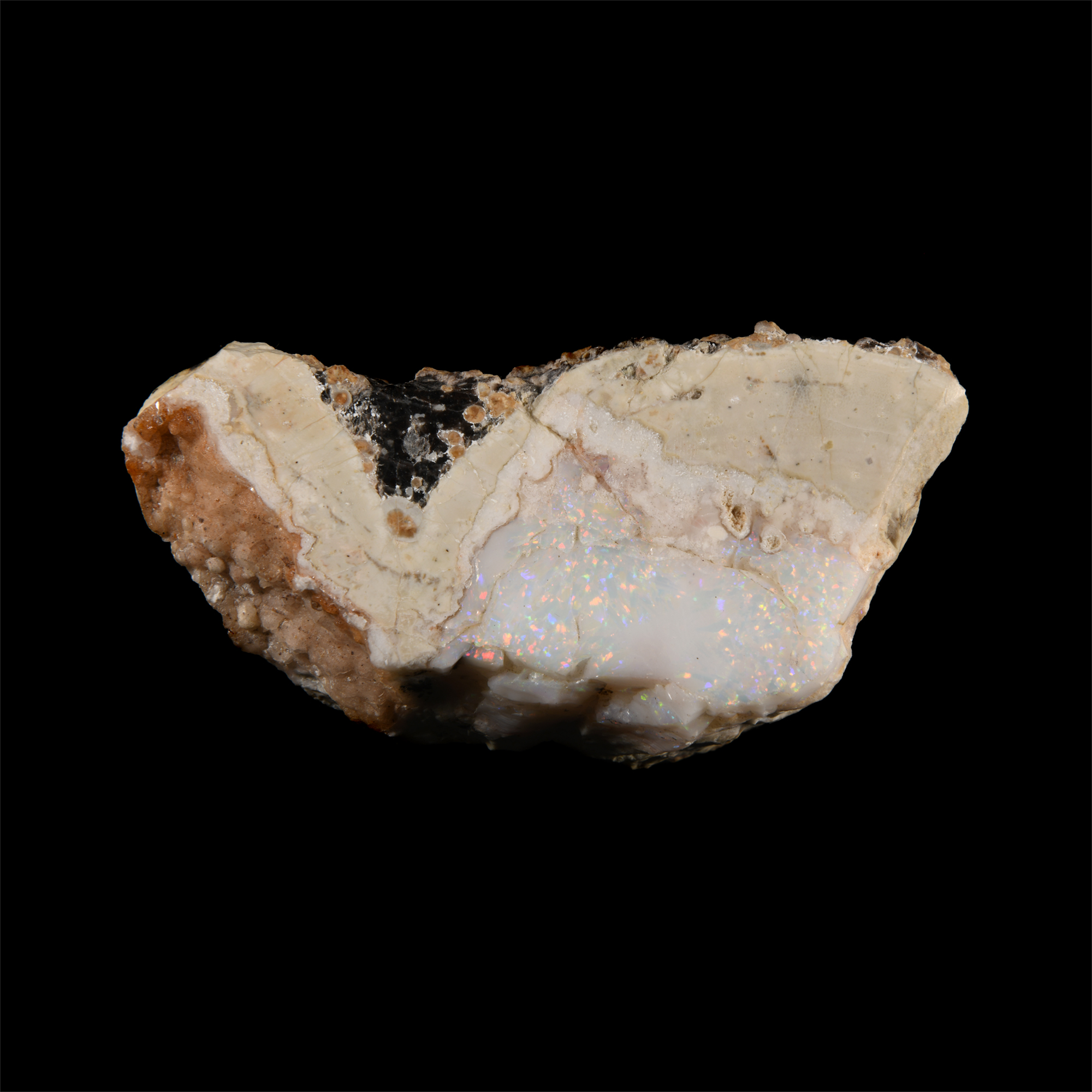 Natural History - Historic 'Spencer Opal Mine, Idaho, U.S.A.' Opal Mineral Specimen