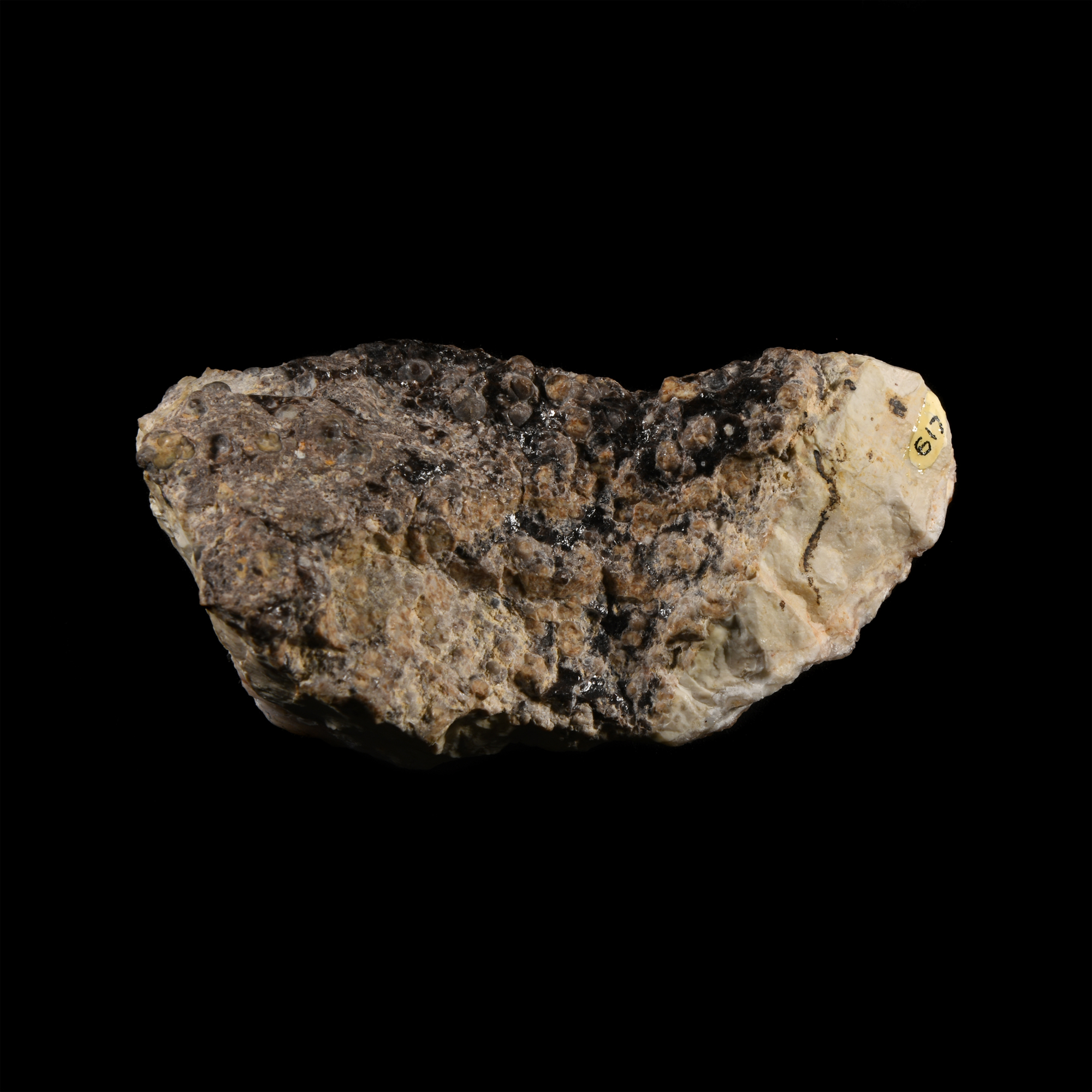 Natural History - Historic 'Spencer Opal Mine, Idaho, U.S.A.' Opal Mineral Specimen