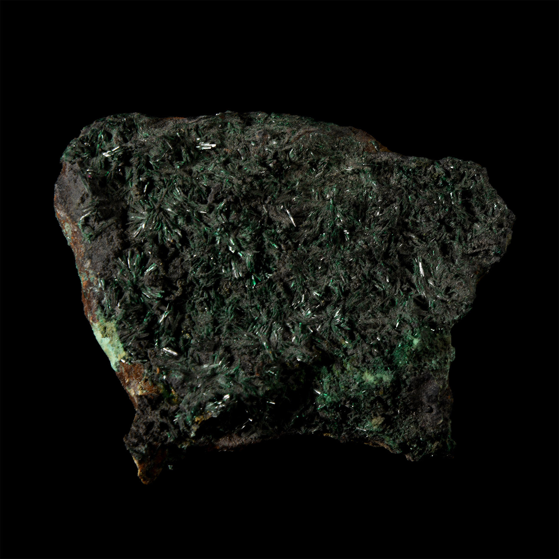 Natural History - Historic 'Copiapo, Chile' Atacamite on Chrysocolla Mineral Specimen