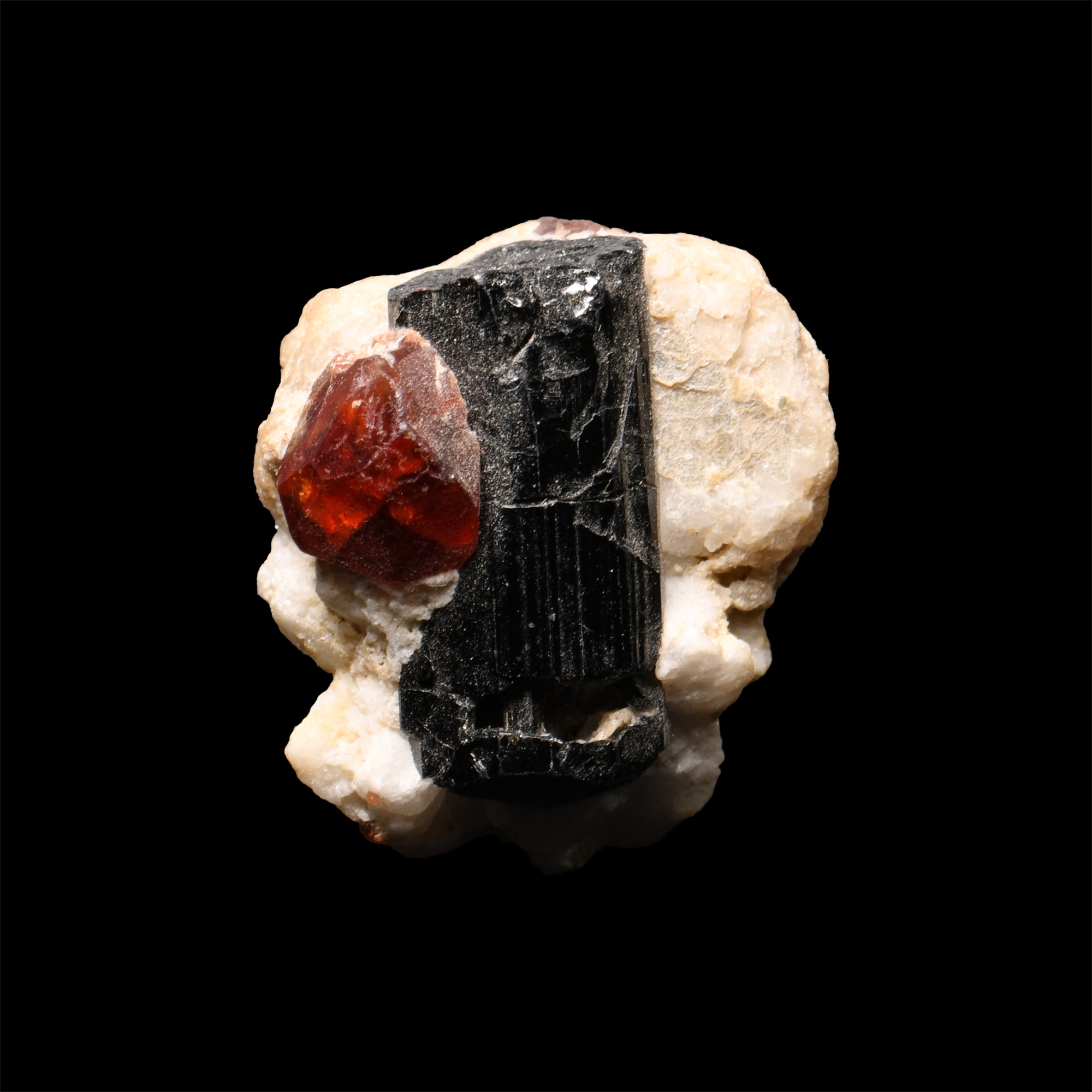 Natural History - Historic 'Gilgit, Himalayas' Spessartite Garnet on Black Tourmaline Mineral Specimen