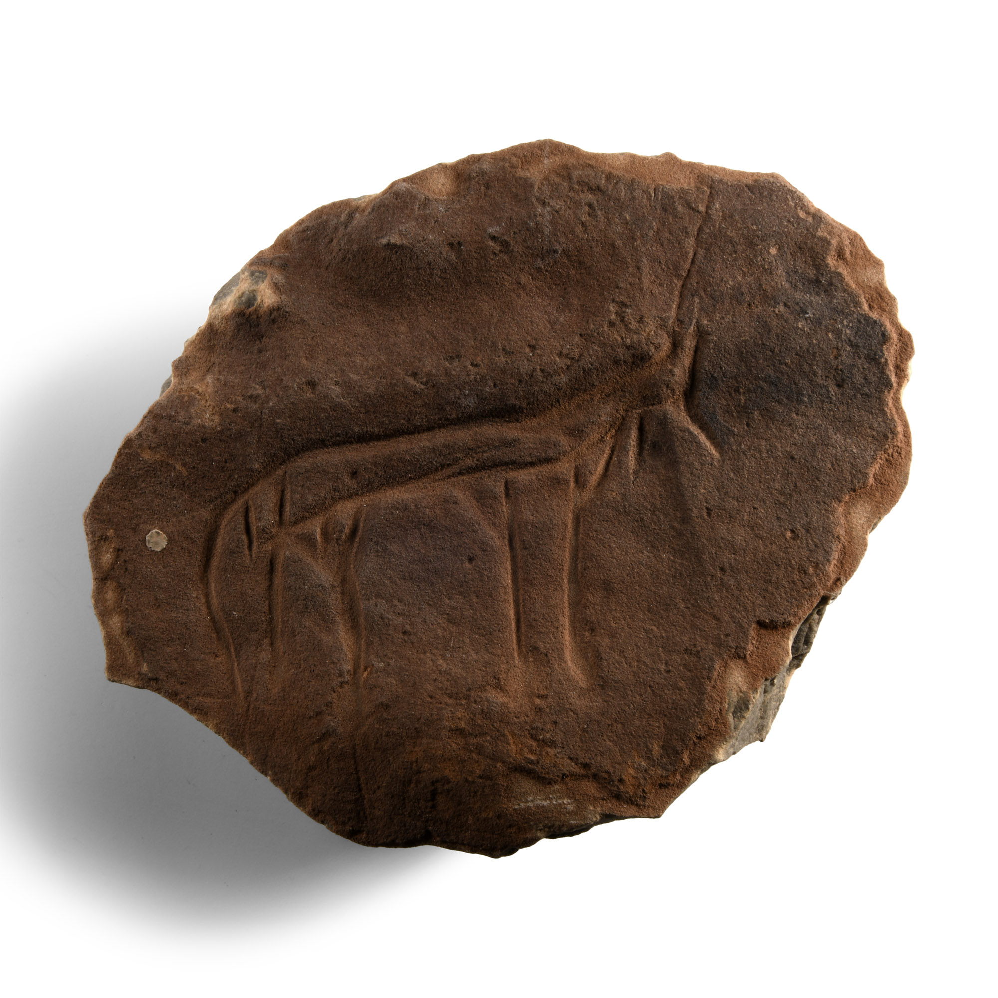 Stone Age Cave Drawing of a Quadruped
