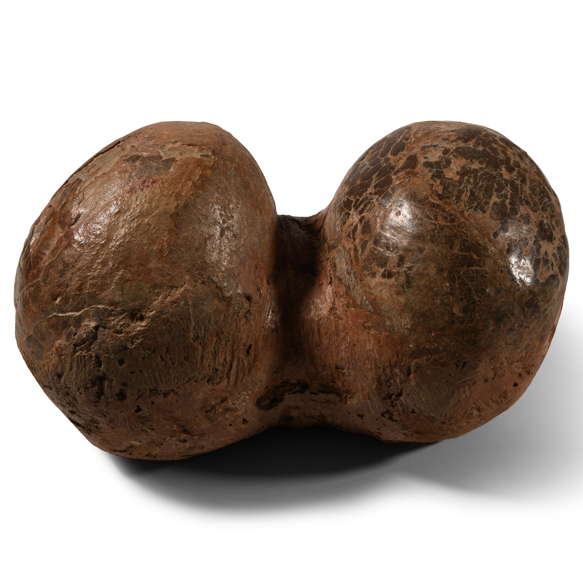 Natural History - Hadrosaur Dinosaur Egg Pair