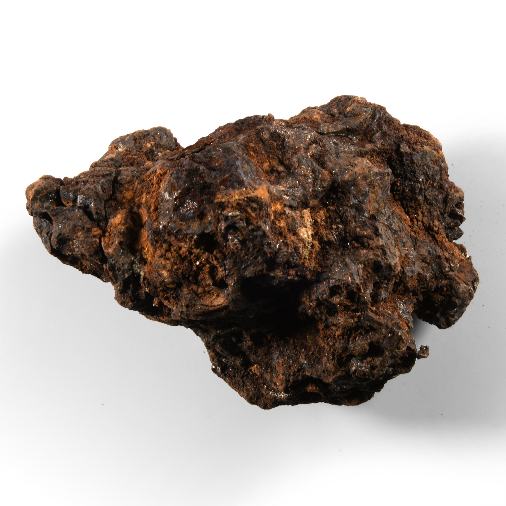 Natural History - Large Sericho Pallasite Meteorite
