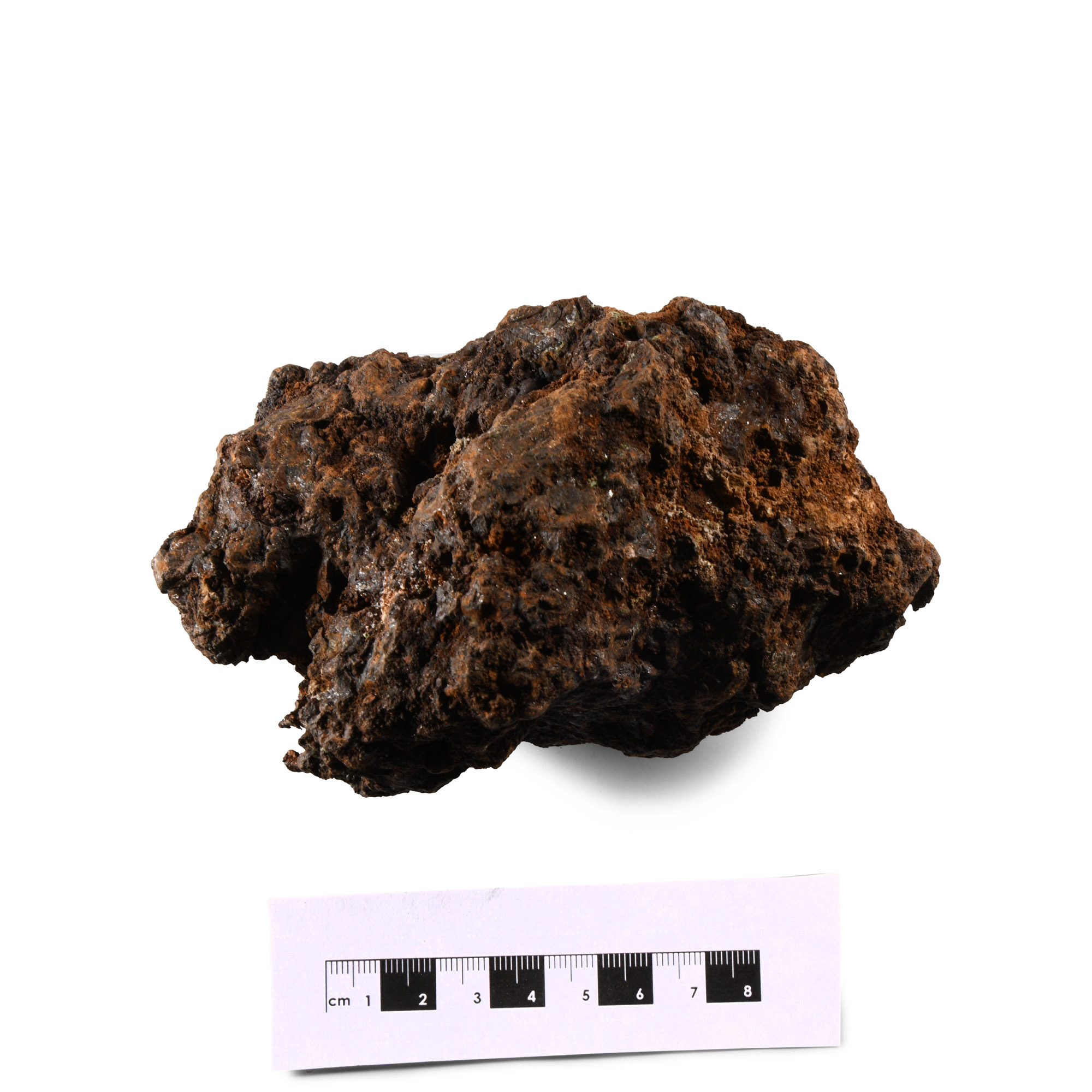 Natural History - Large Sericho Pallasite Meteorite
