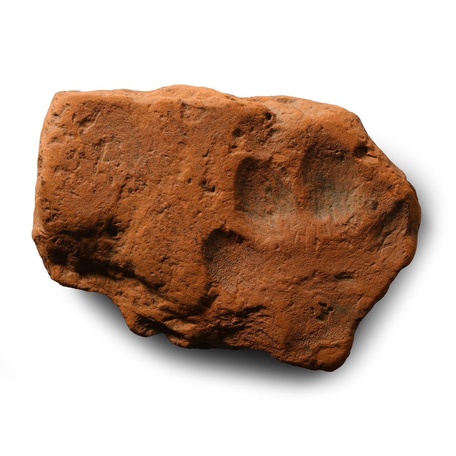 Roman Terracotta Roof Tile with Dog's Paw Print