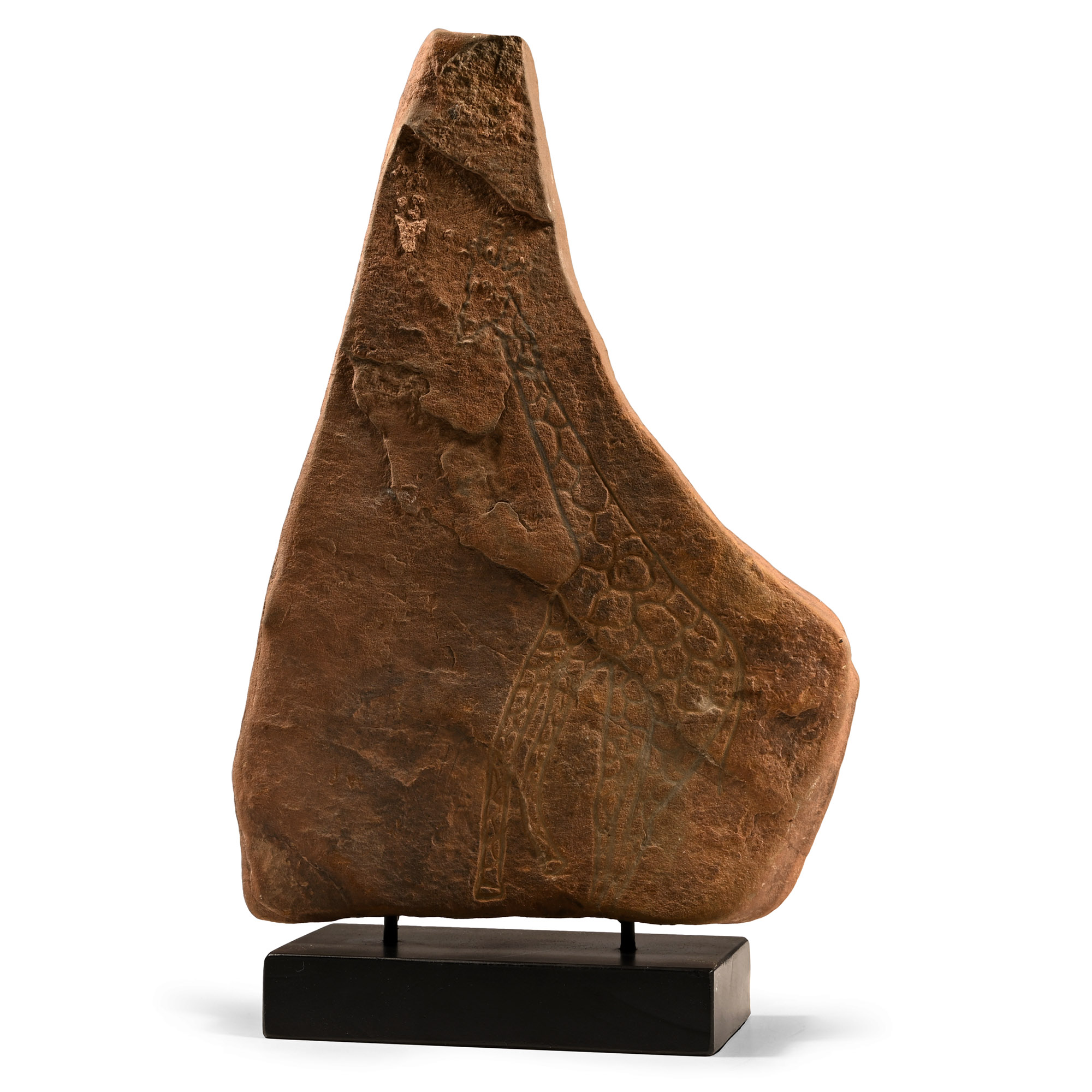 Stone Age Cave Drawing of a Giraffe