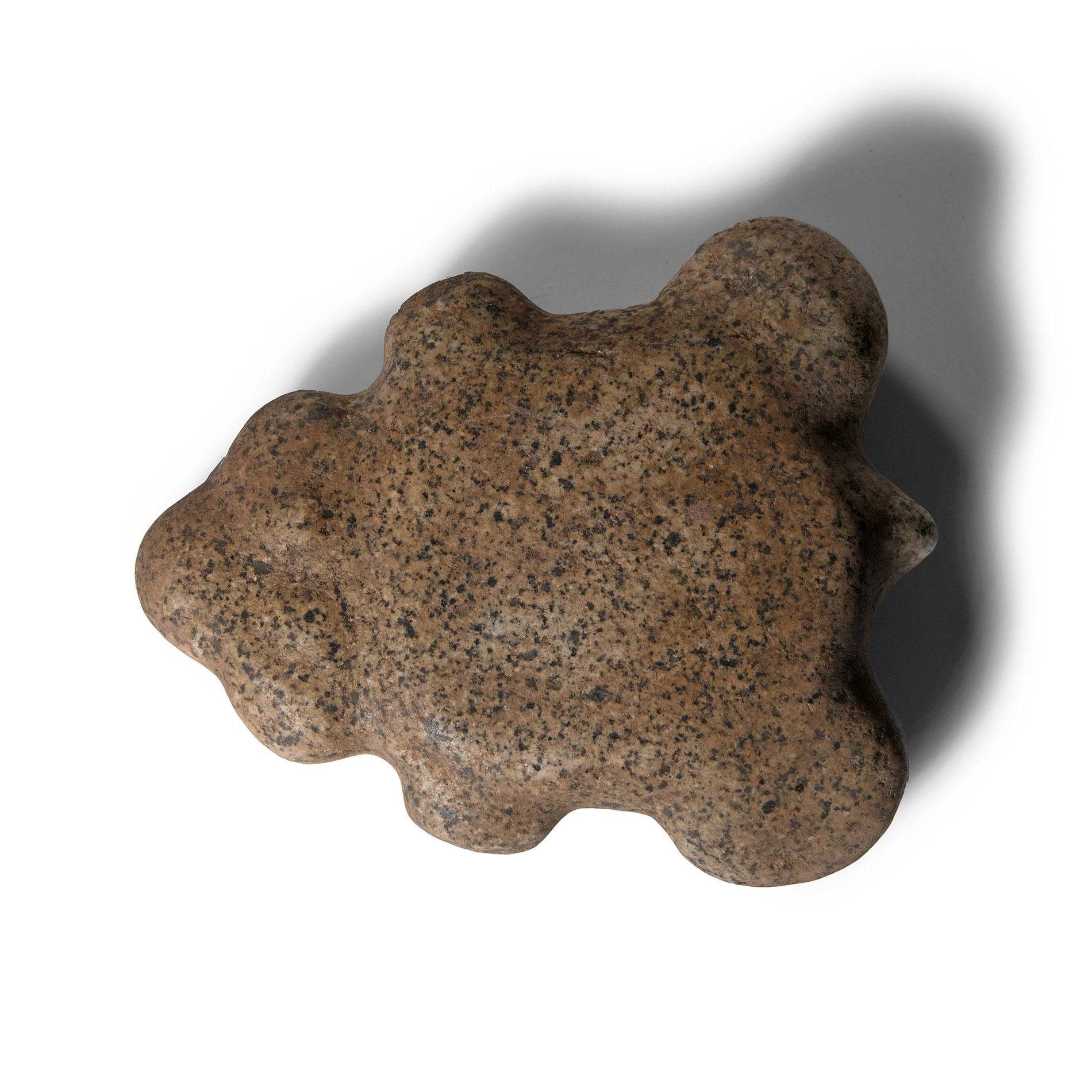 Stone Age Polished Tortoise Idol