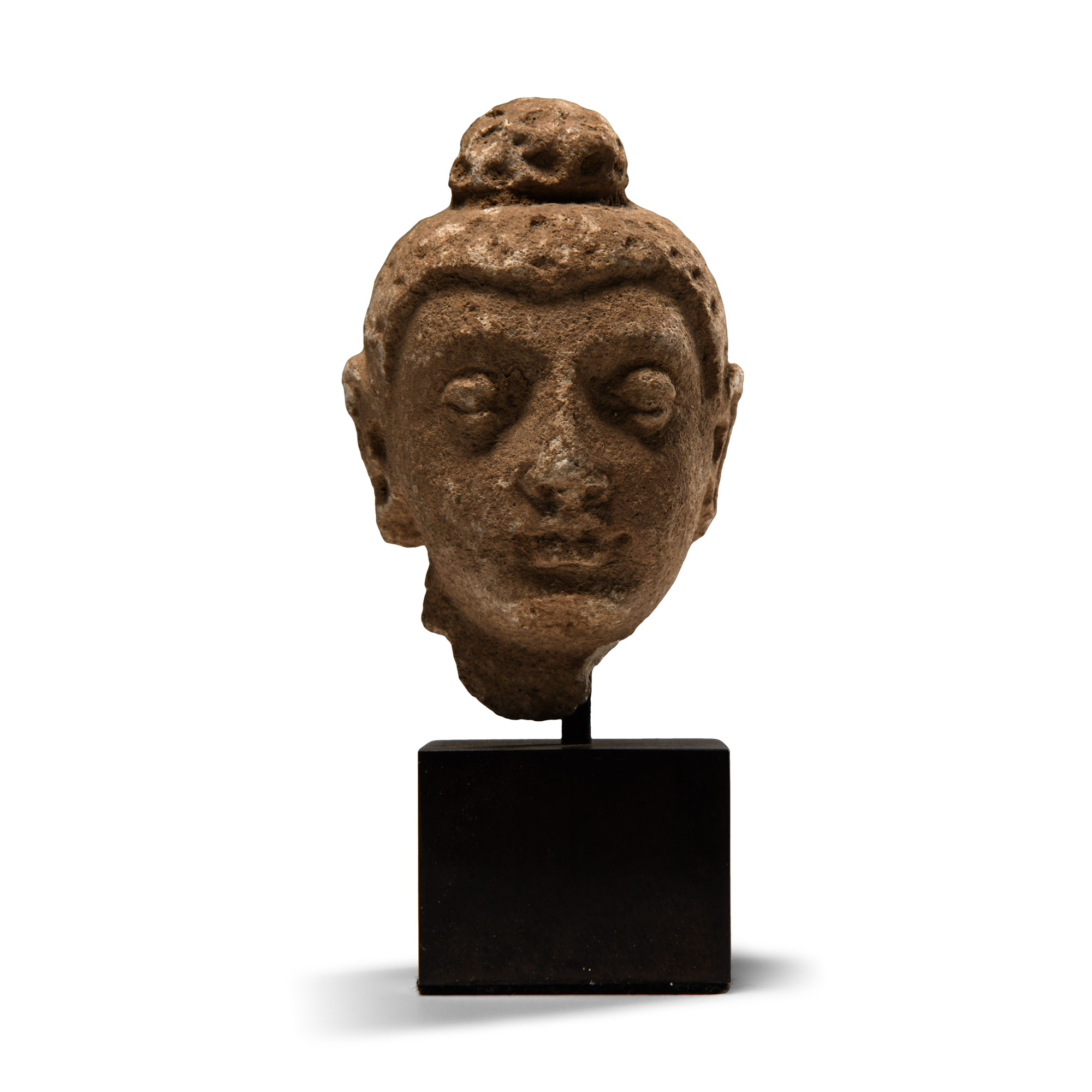 Gandharan Stucco Head