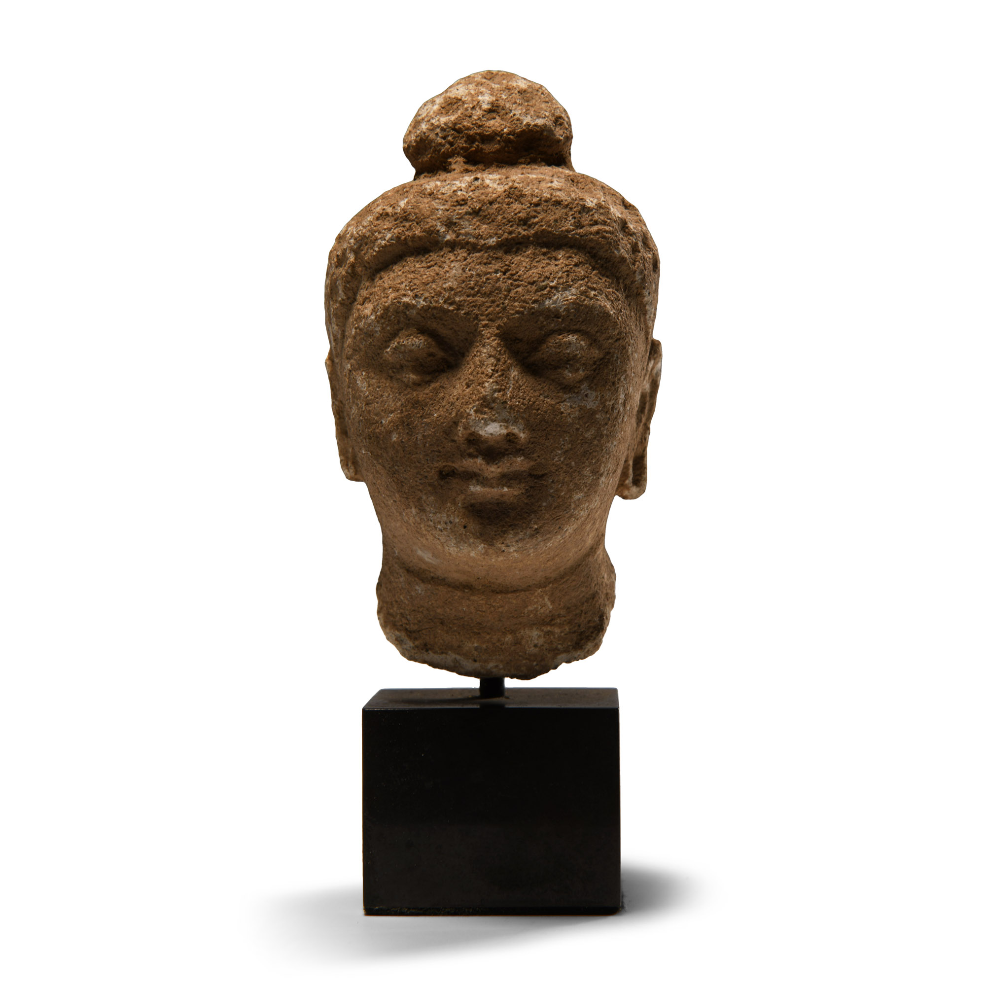 Gandharan Stucco Head