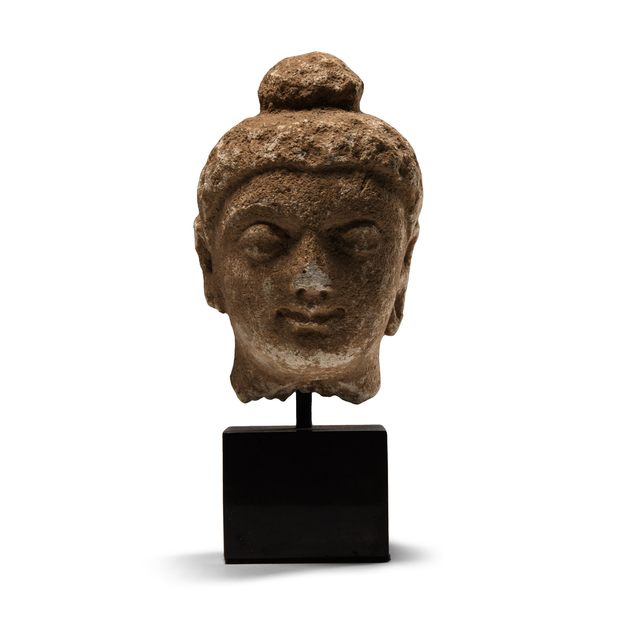 Gandharan Terracotta Head