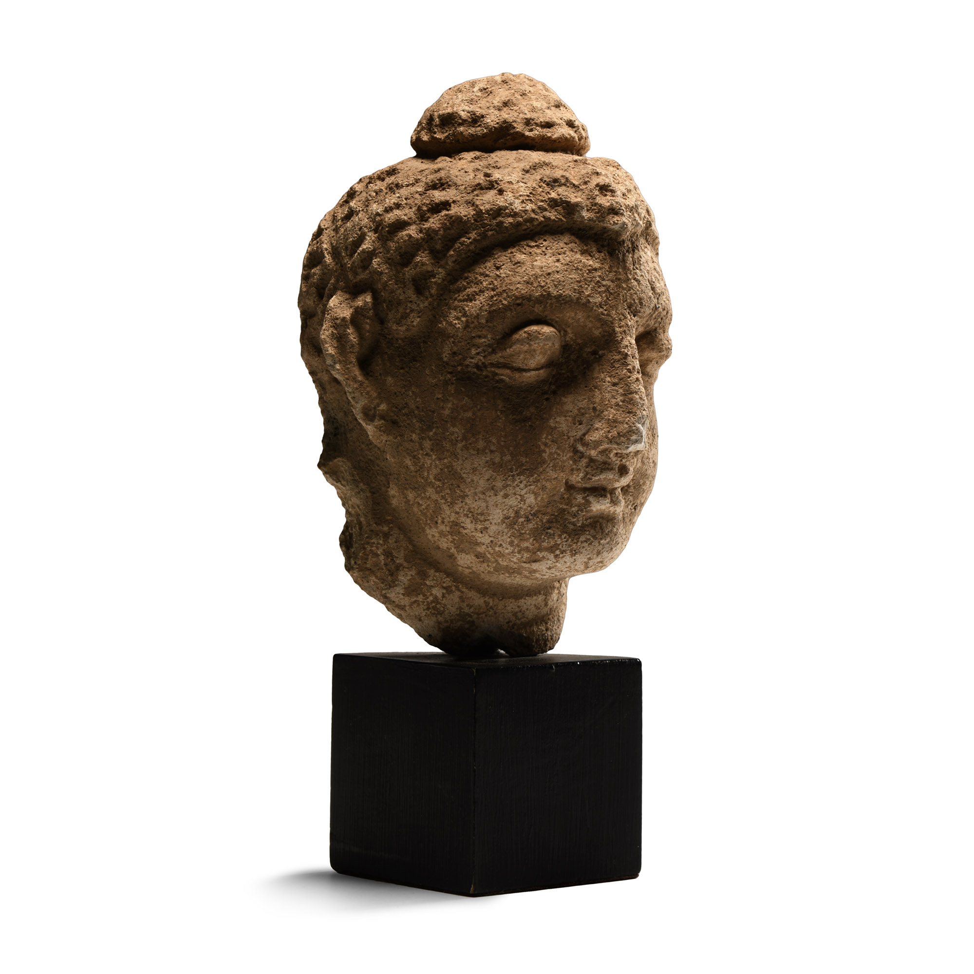 Gandharan Terracotta Head