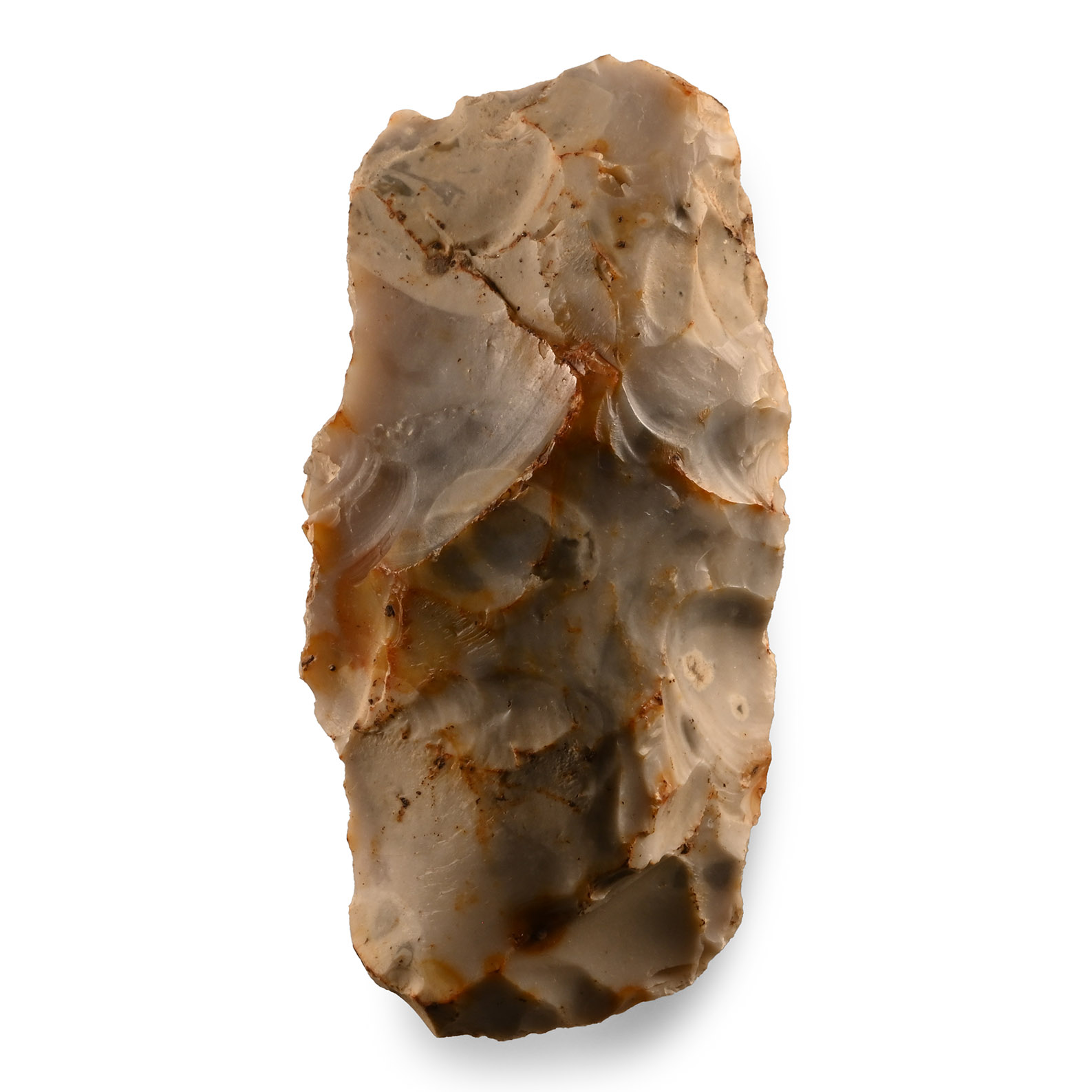 Stone Age 'Buigny' Flint Axehead