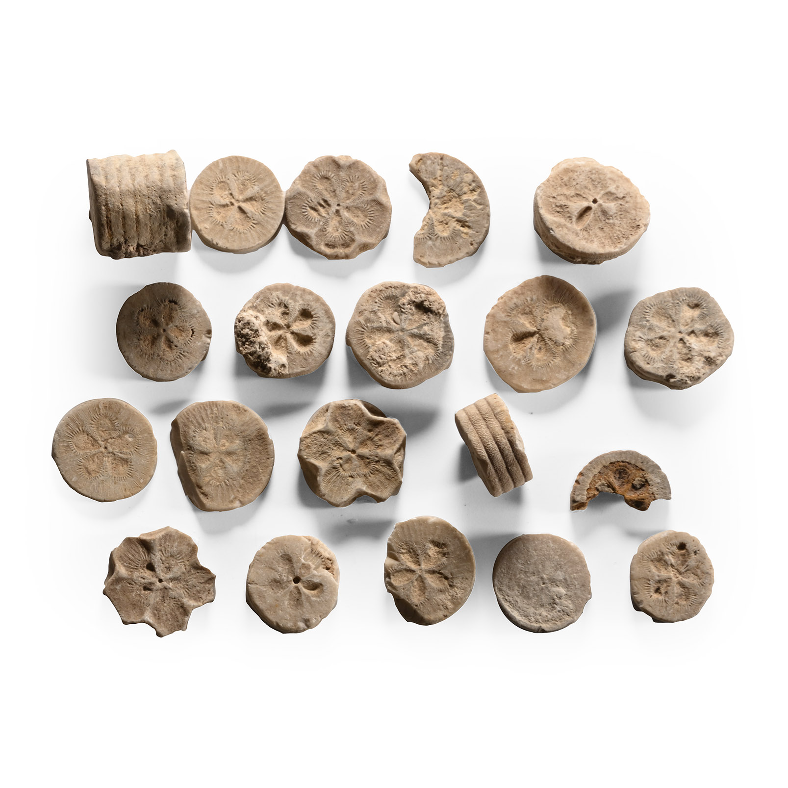 Egyptian Limestone 'Floral' Inlay Group